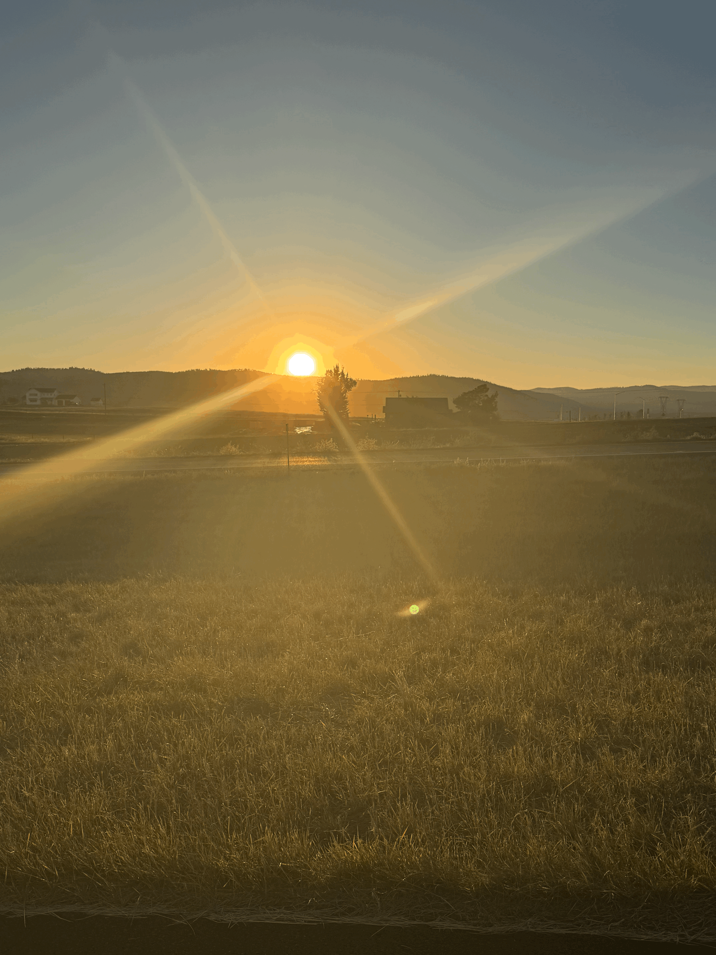 Navigating a Complex Diagnosis: My Journey Through Rare Disease, Chronic Illness, and Advocacy