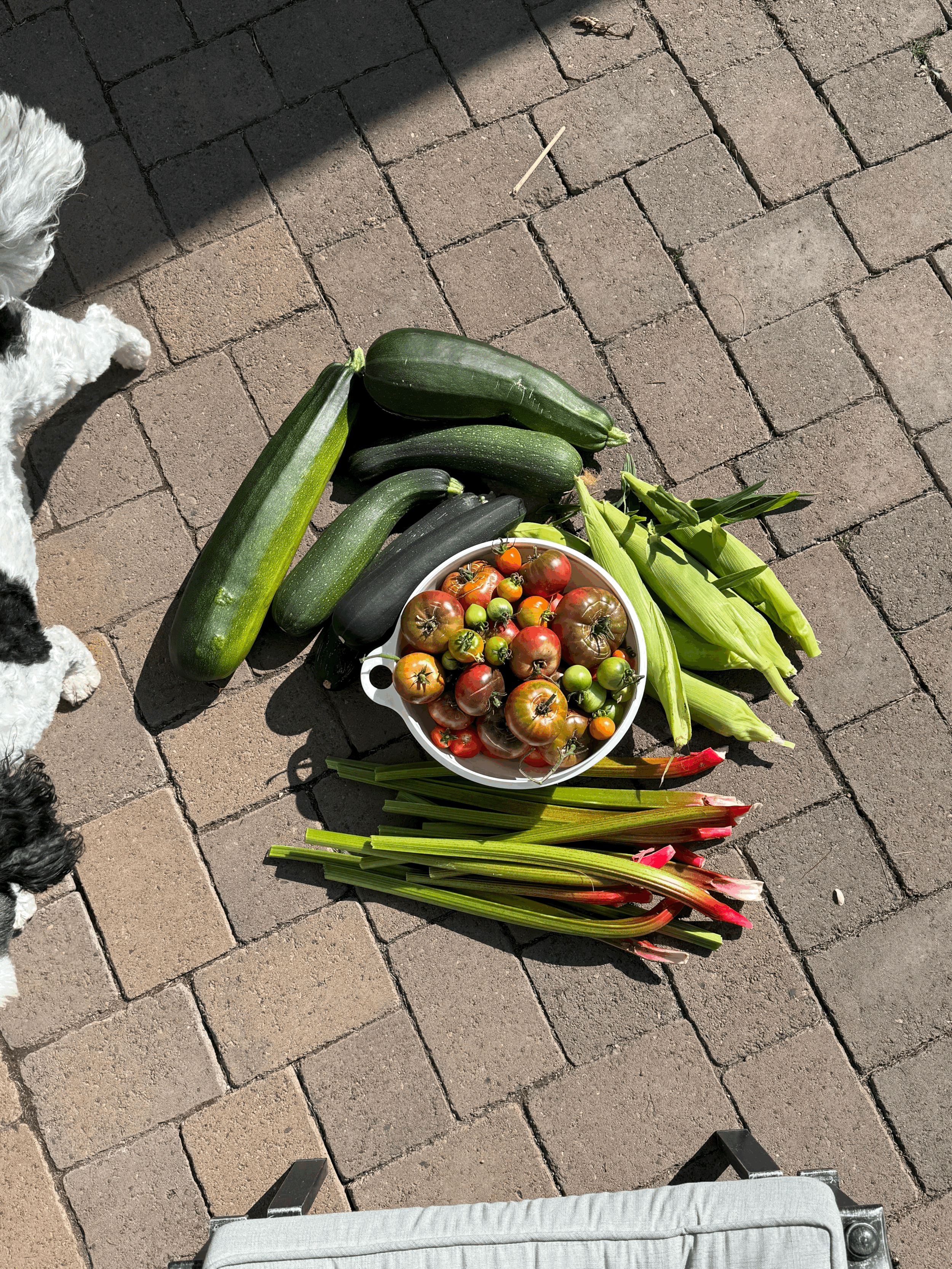 No One’s Coming to Save You: The Day the Military Broke My Faith