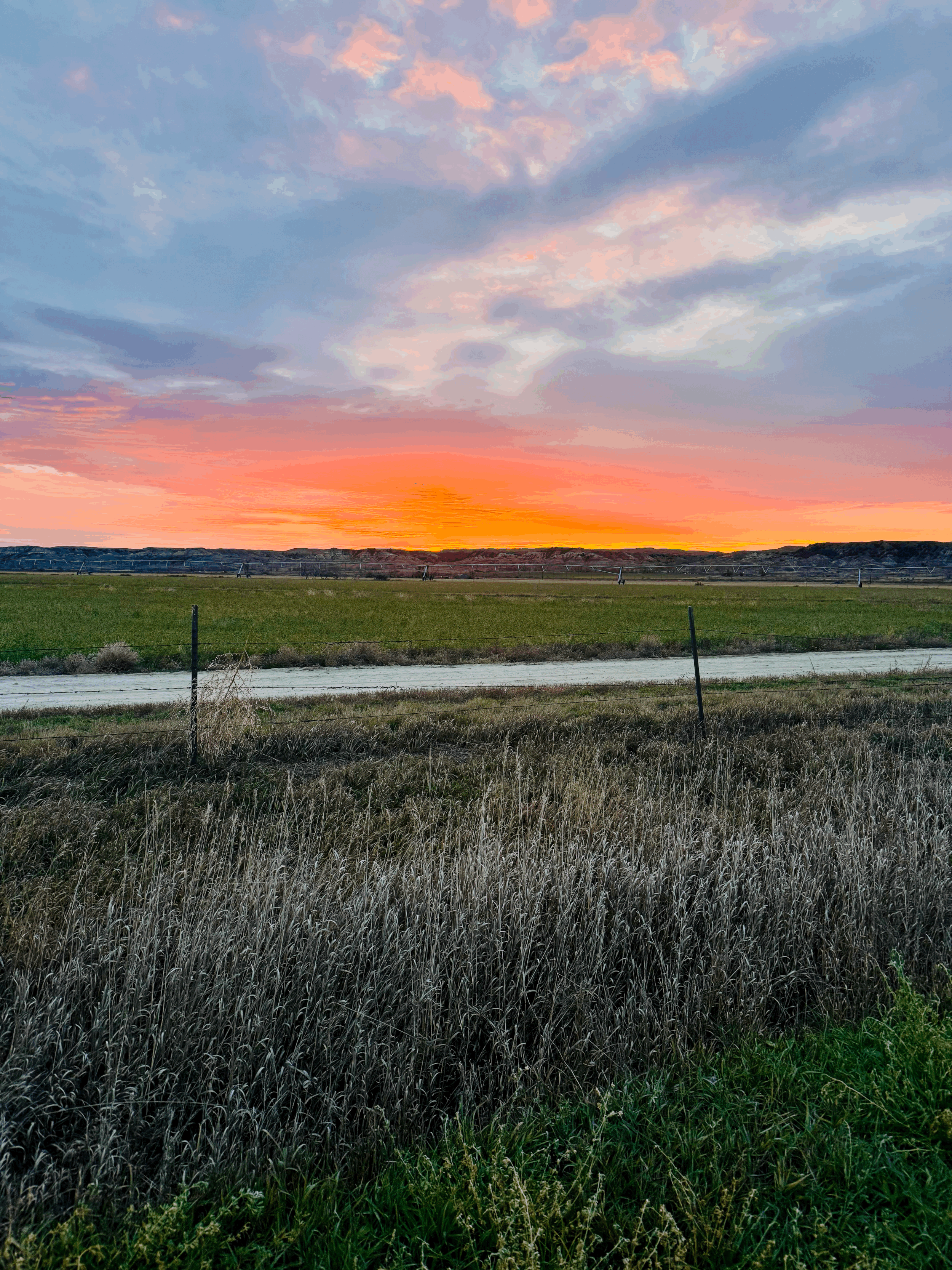 When the Wild Becomes a Mirror: Hunting With a Brain Injury, POTS, and Fading Senses