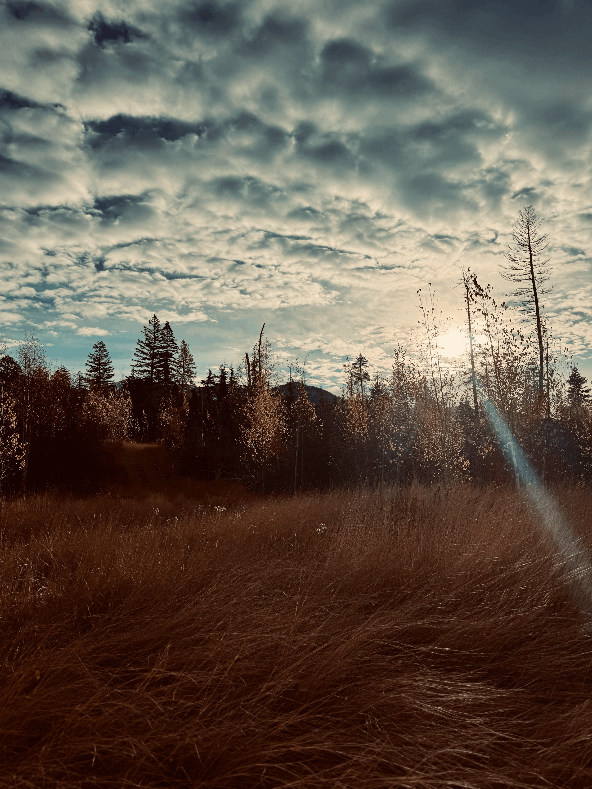 When the Wires Cross: Living with Autism, ADHD, and Major Neurocognitive Disorder (Post-Radiation Brain Injury)