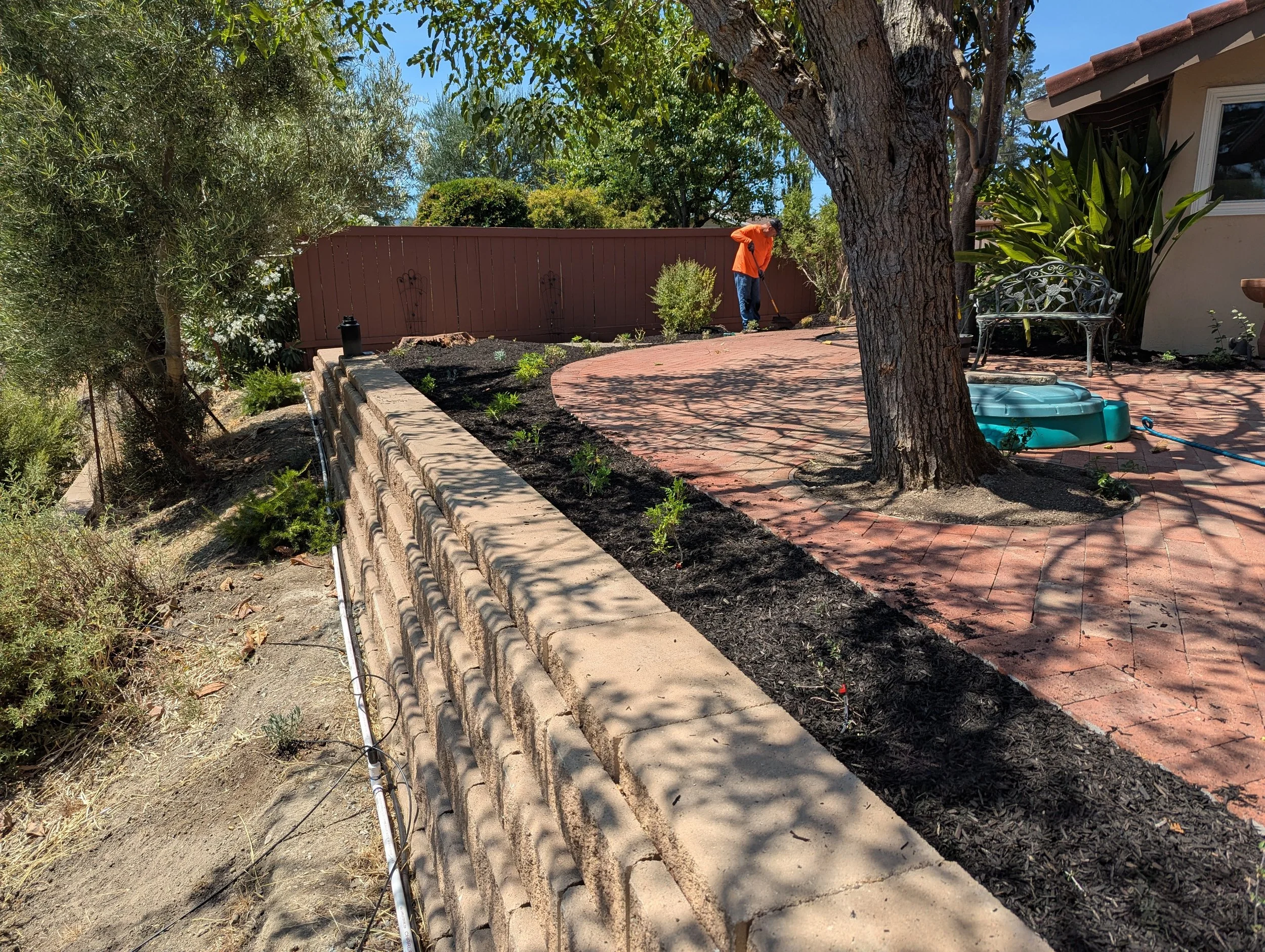 Person working in a backyard garden near a curved brick patio area with a large tree and various plants and bushes. A blue plastic sandbox and garden bench are also visible.