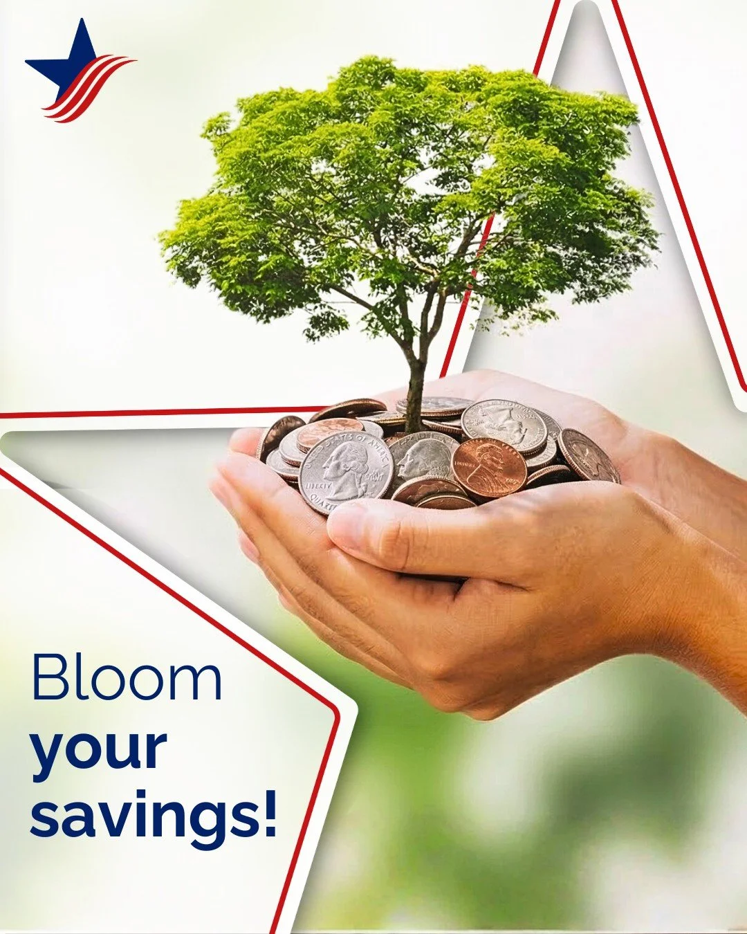 Bloom your savings with United Community FCU! 💰🌱

If you&rsquo;re looking for a low-risk way to grow your money, a Share Certificate is the perfect seasonal refresh for your finances. 

You set aside a specific amount for a set term, and in return,