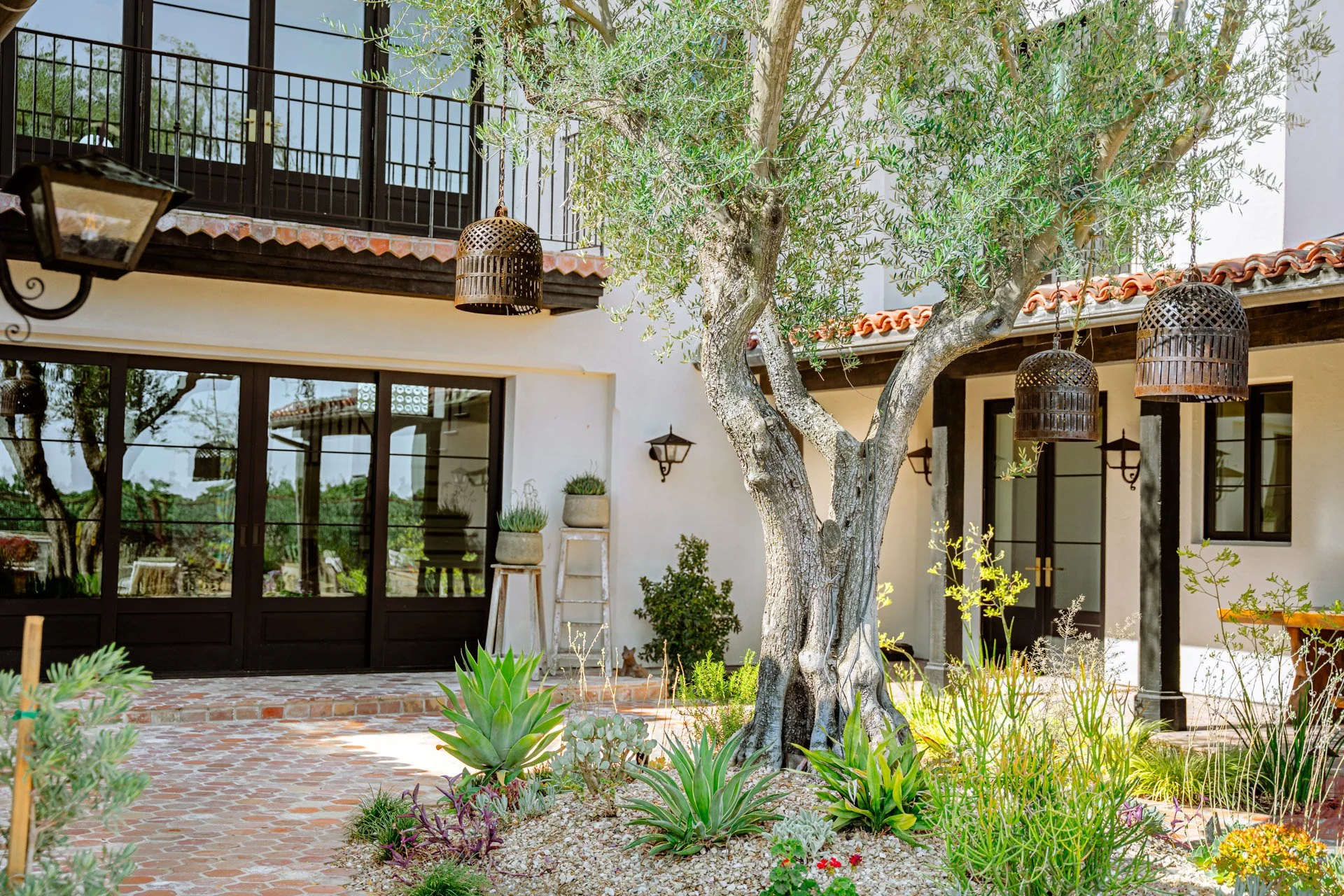 Saladino_WEB (7 of 29).jpg