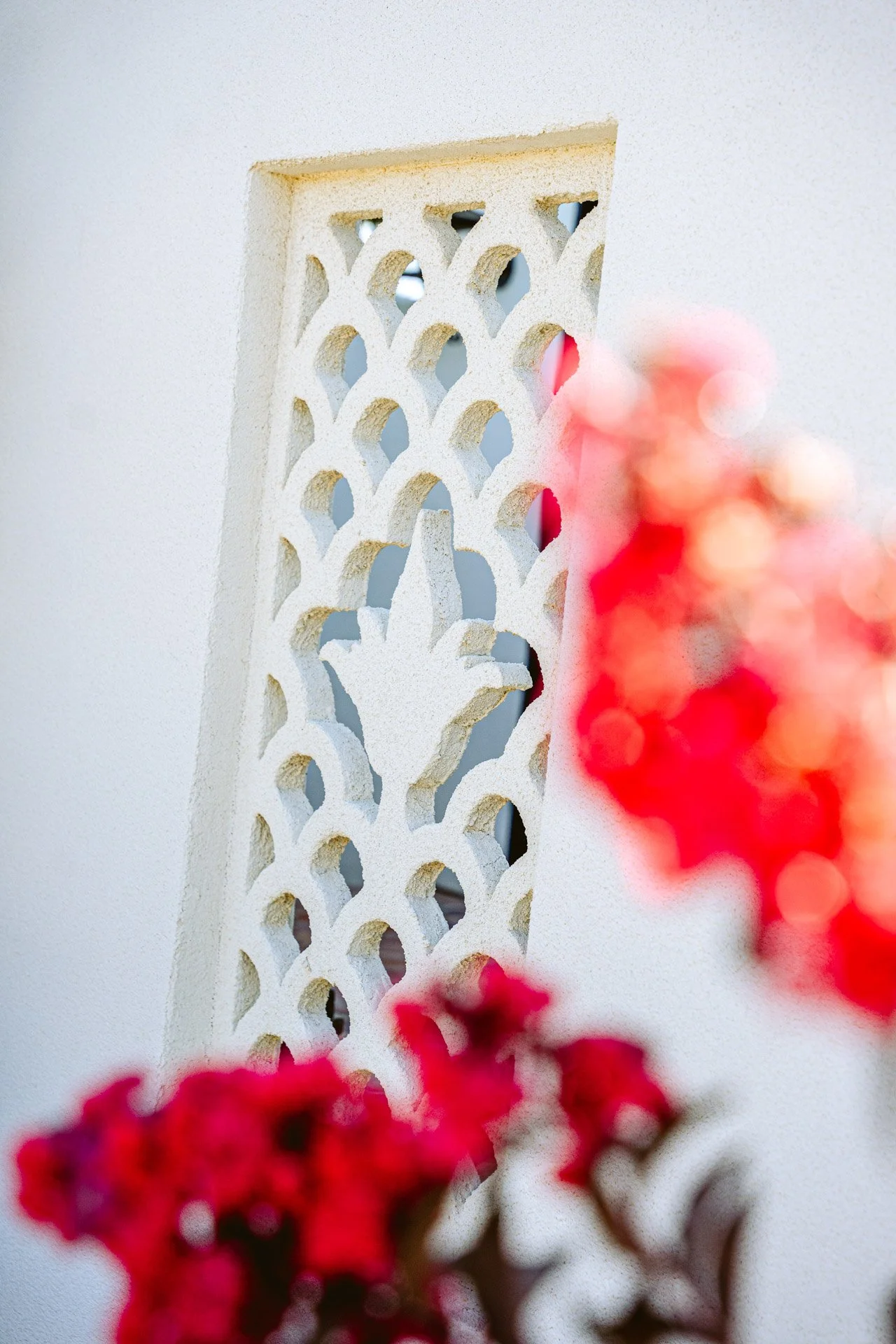 Saladino_WEB (4 of 29) copy.jpg