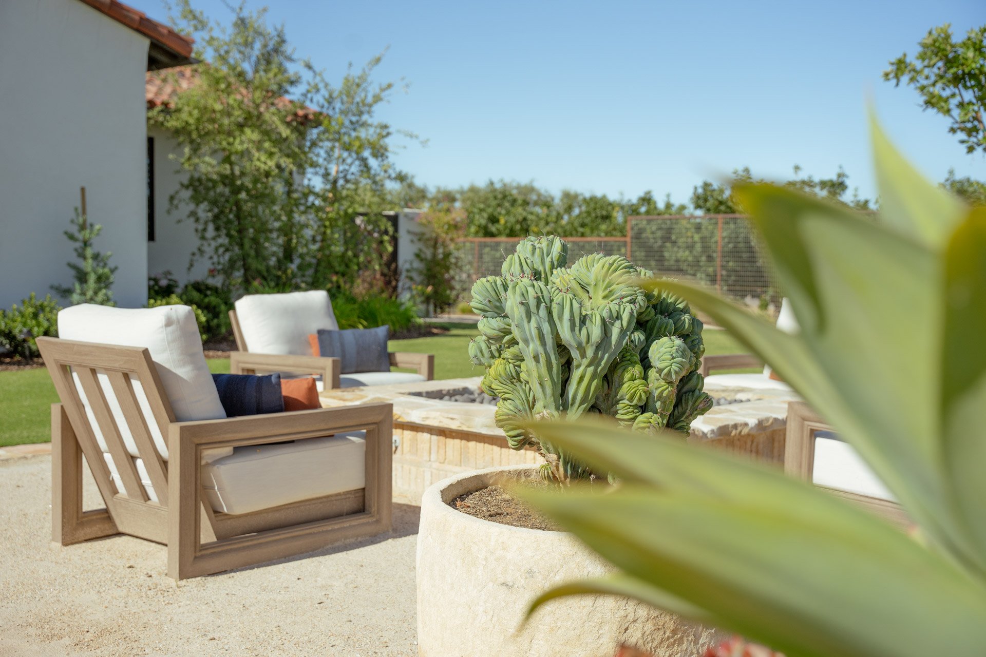 Saladino_WEB (5 of 29).jpg