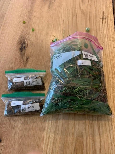 Dragonfly Nutrient Assessment 4.jpeg