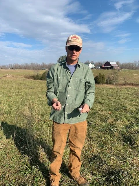 Dragonfly Nutrient Assessment 2.jpeg