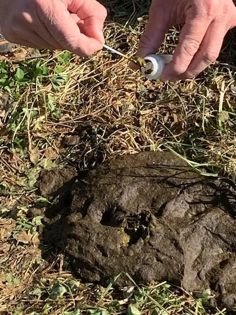 Dragonfly Nutrient Assessment 1.jpeg