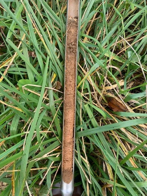 Dragonfly Nutrient Assessment 7.jpeg