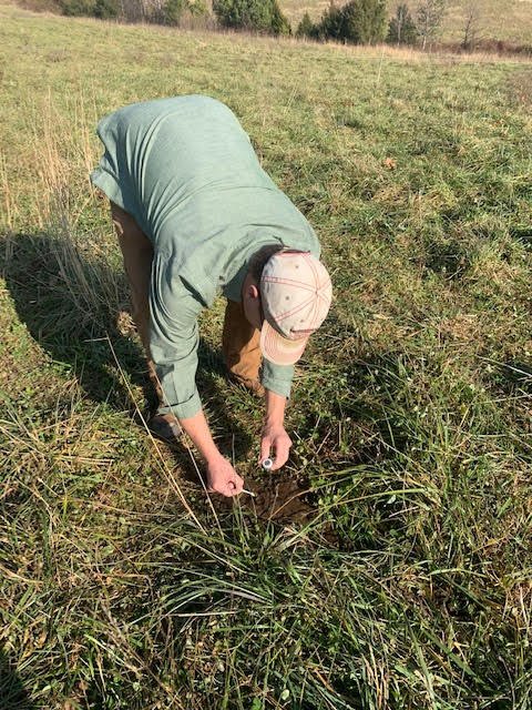 Dragonfly Nutrient Assessment 8.jpeg