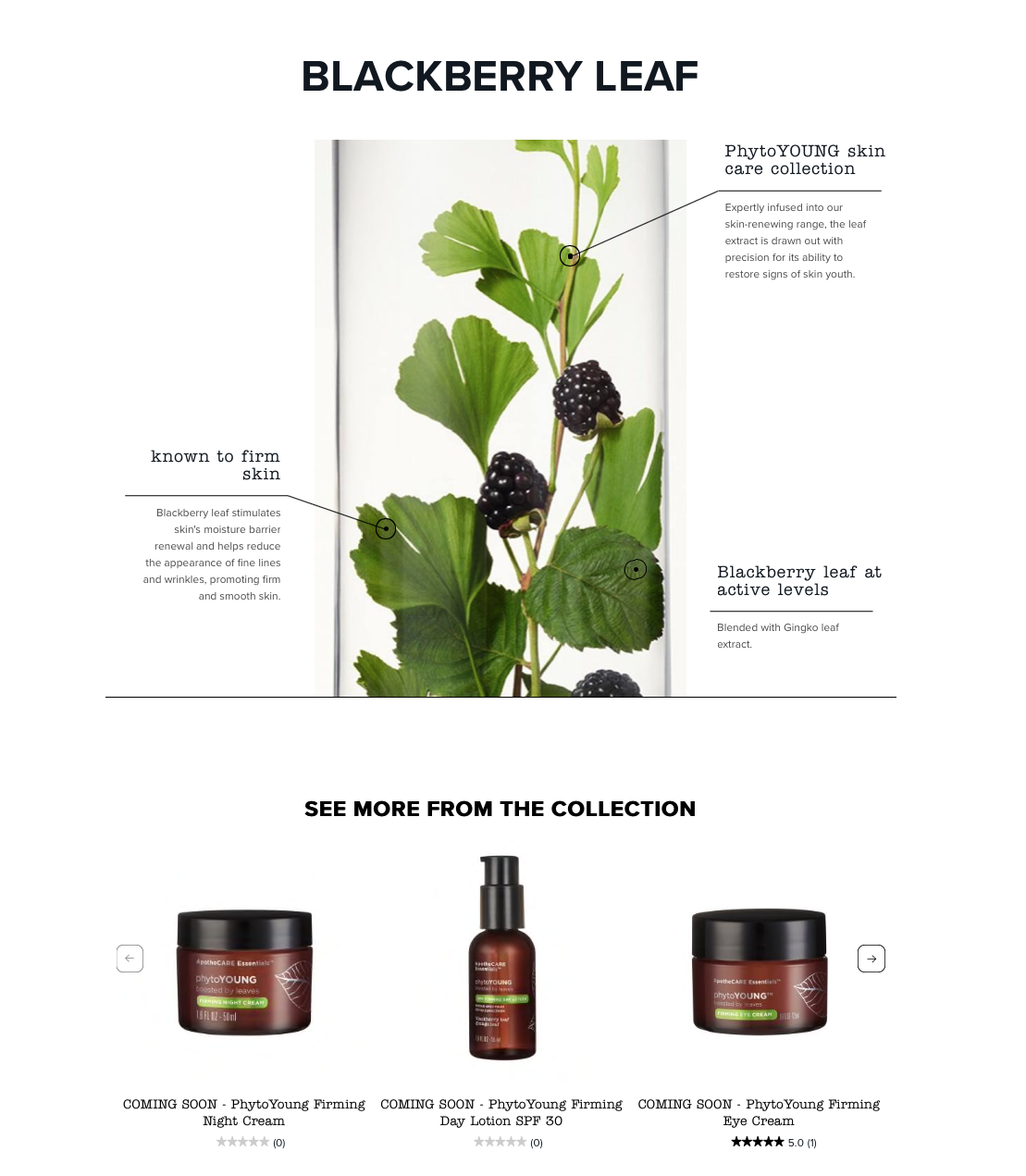 Screen Shot 2019-02-06 at 12.10.09.png