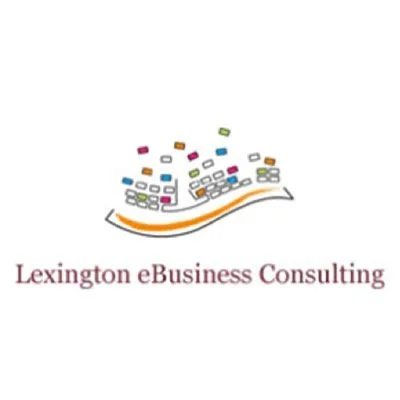 6553e948820c051ac7e31b1d_Lexington%20eBusiness%20Consulting.jpeg