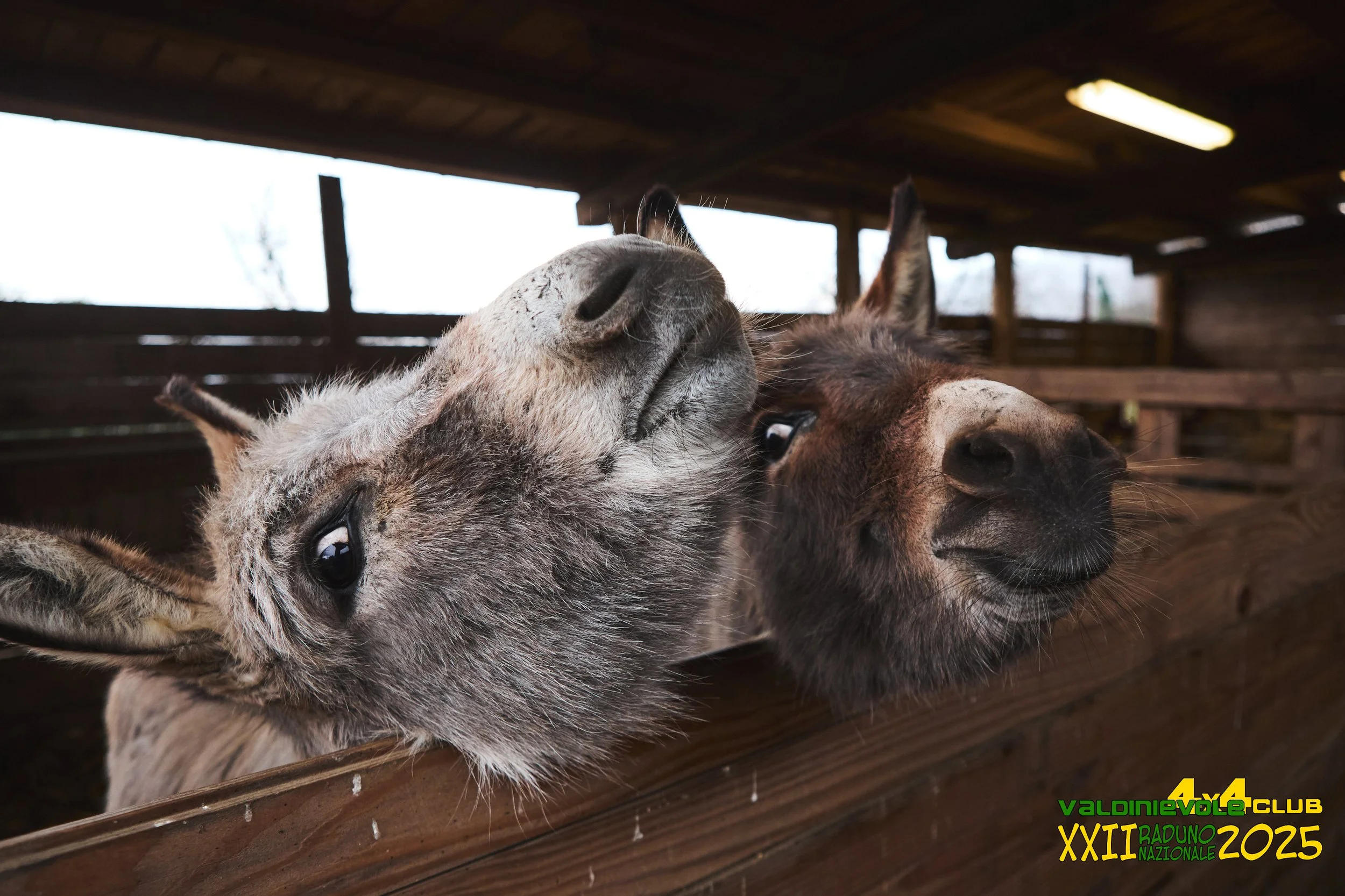 22° Raduno Nazionale_01021.jpg