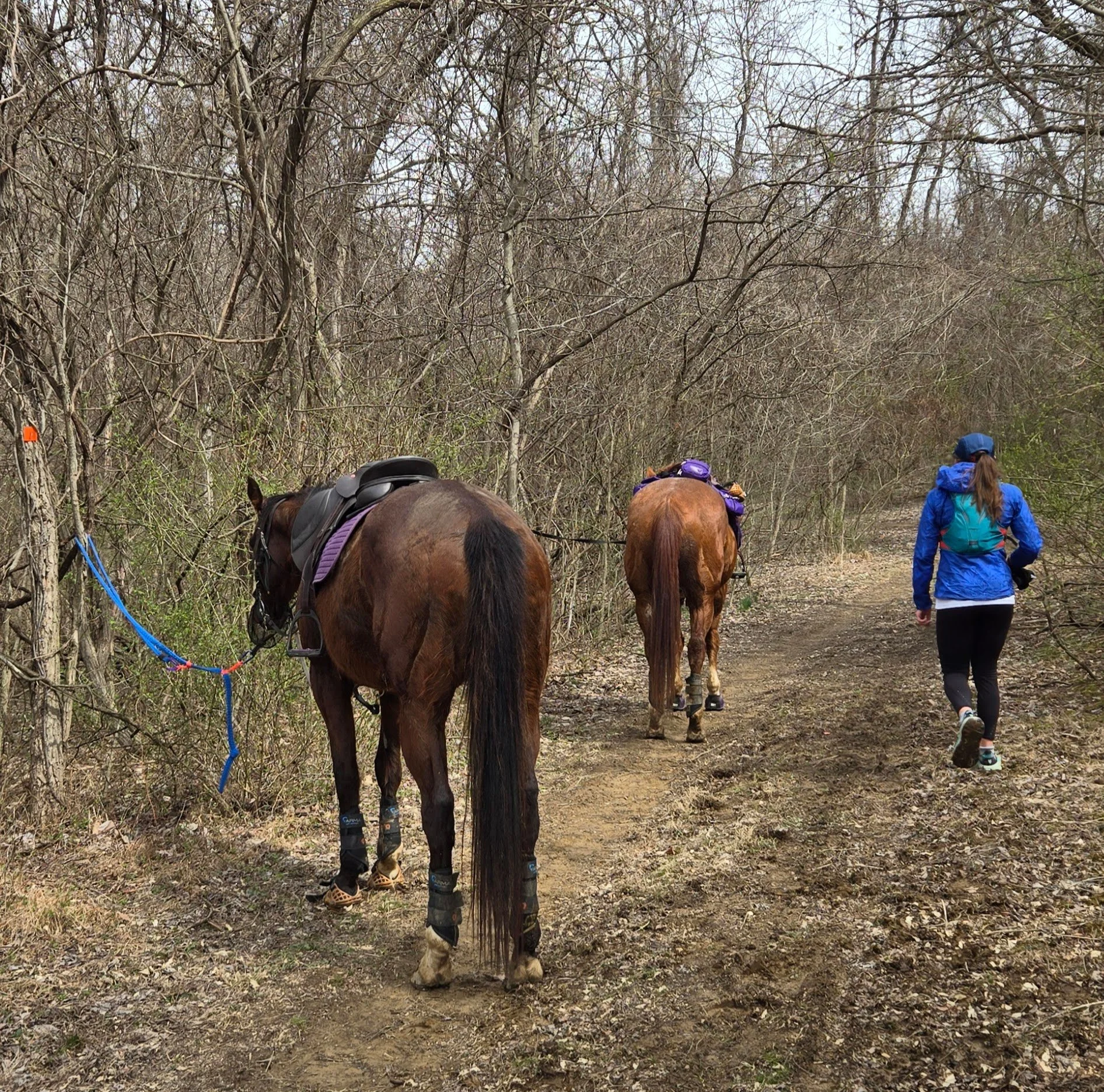 20250323_134714 (1).jpg