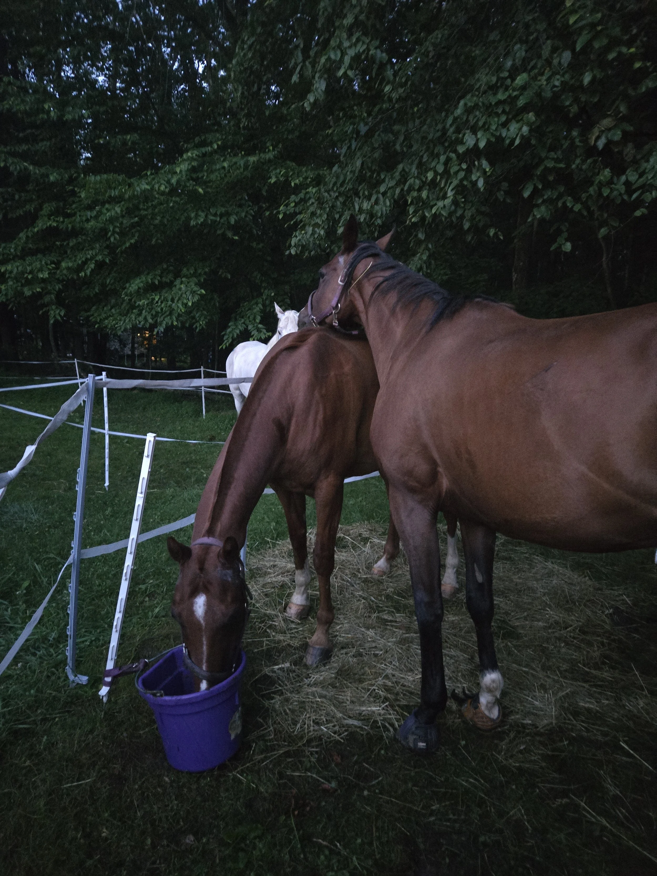 20250705_051956 (1).jpg