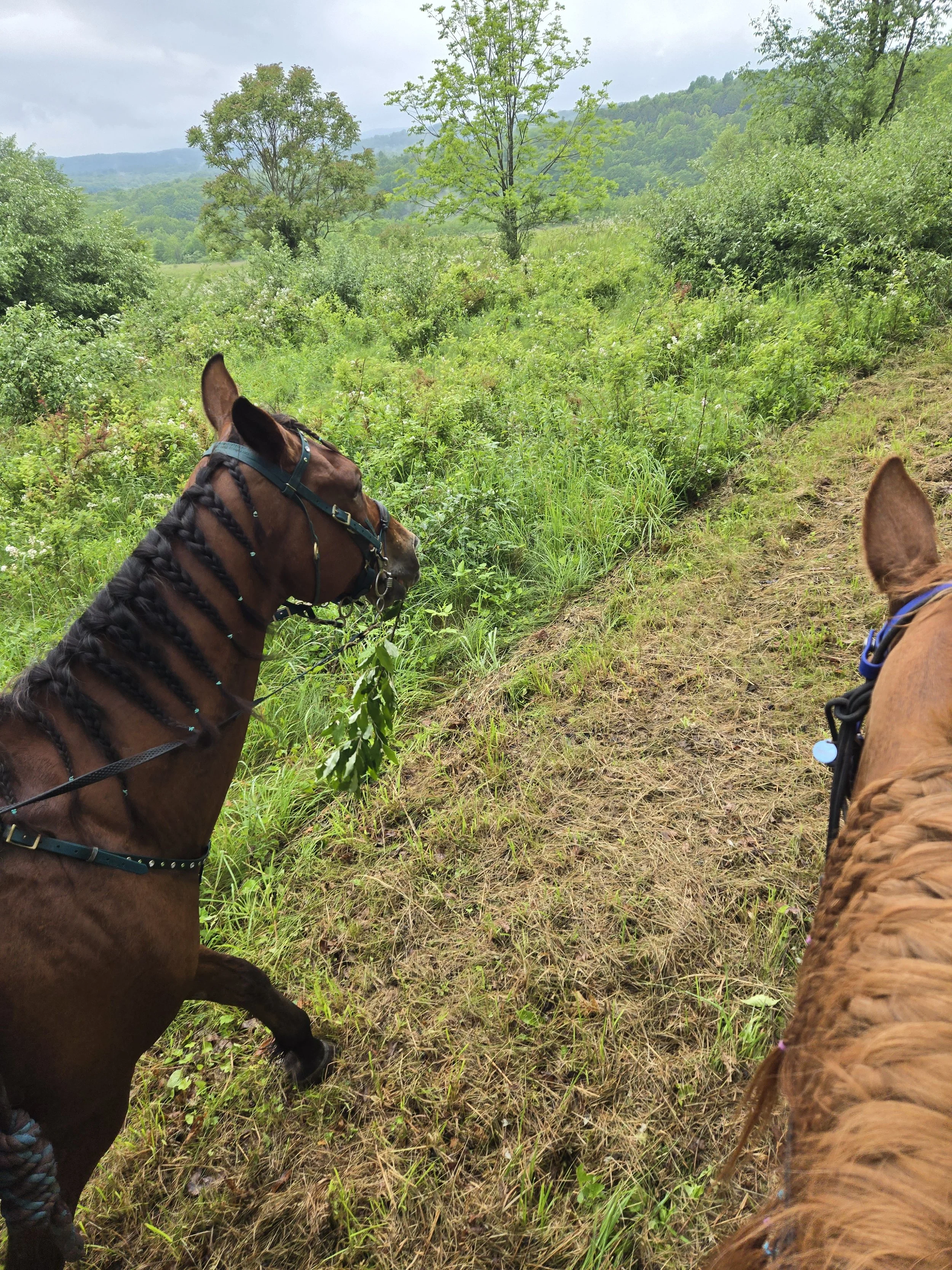 20250531_083506 (1).jpg