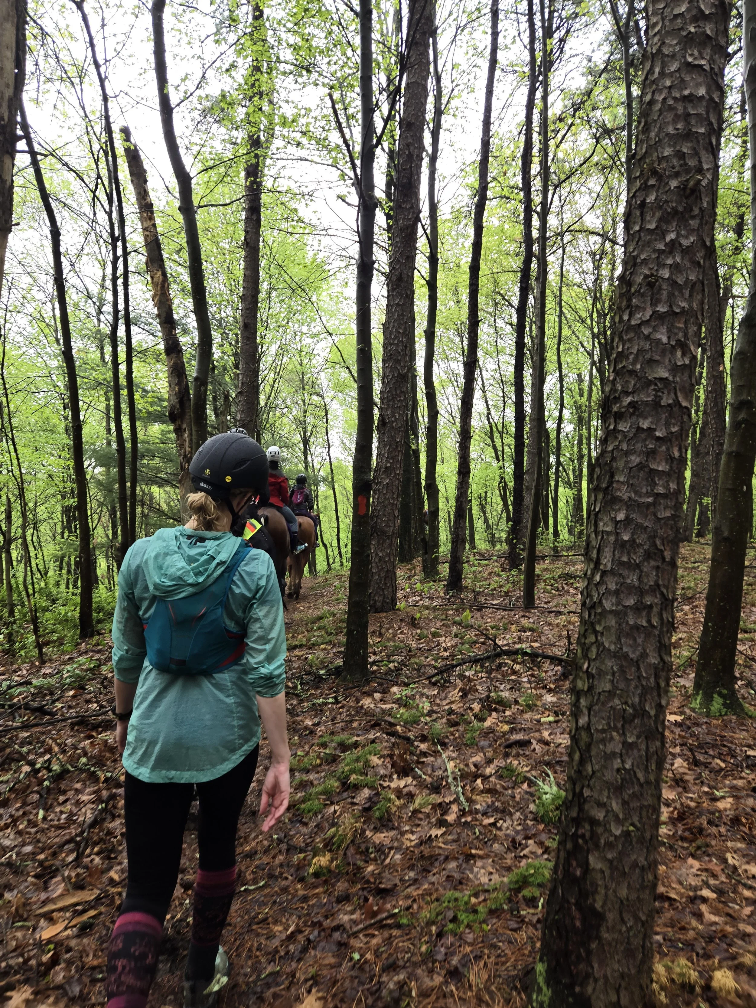 20250503_140143 (1).jpg