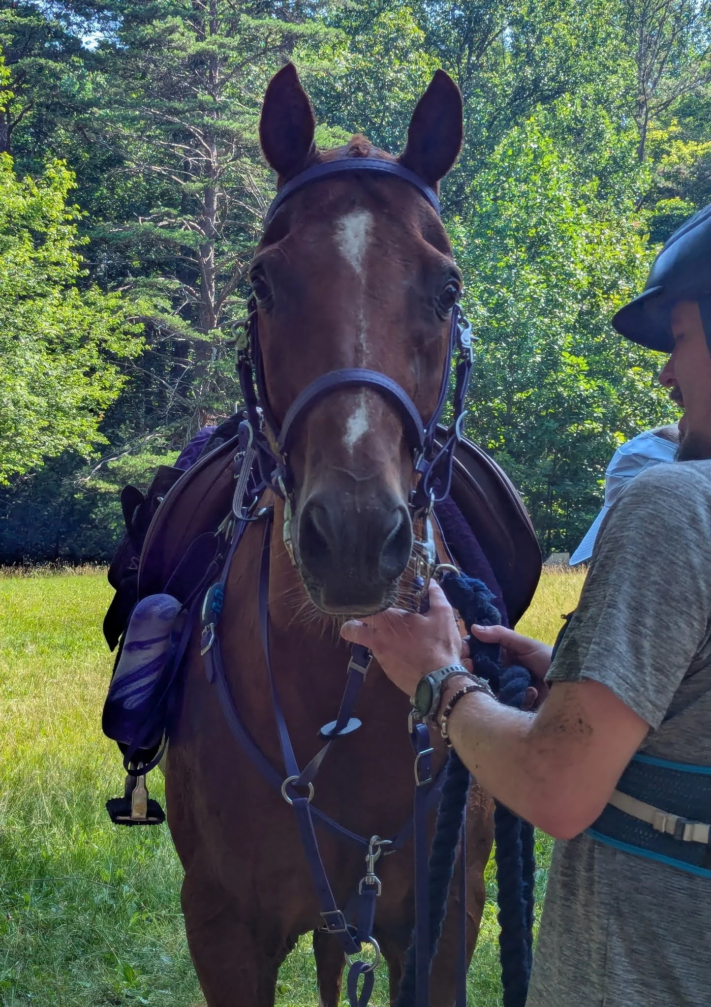 8038190452148348153.jpg (1).jpeg