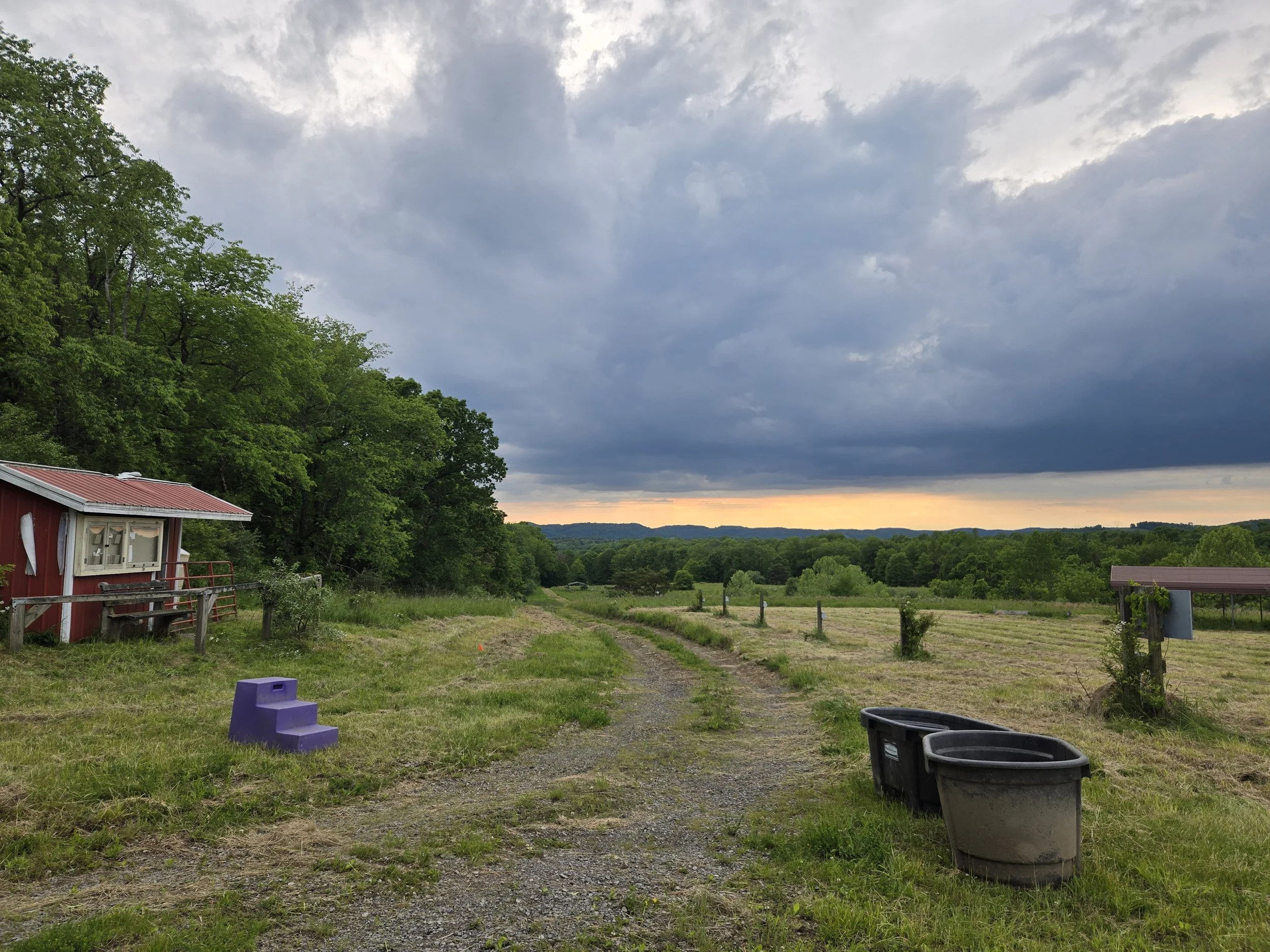 20250529_194237 (1).jpg