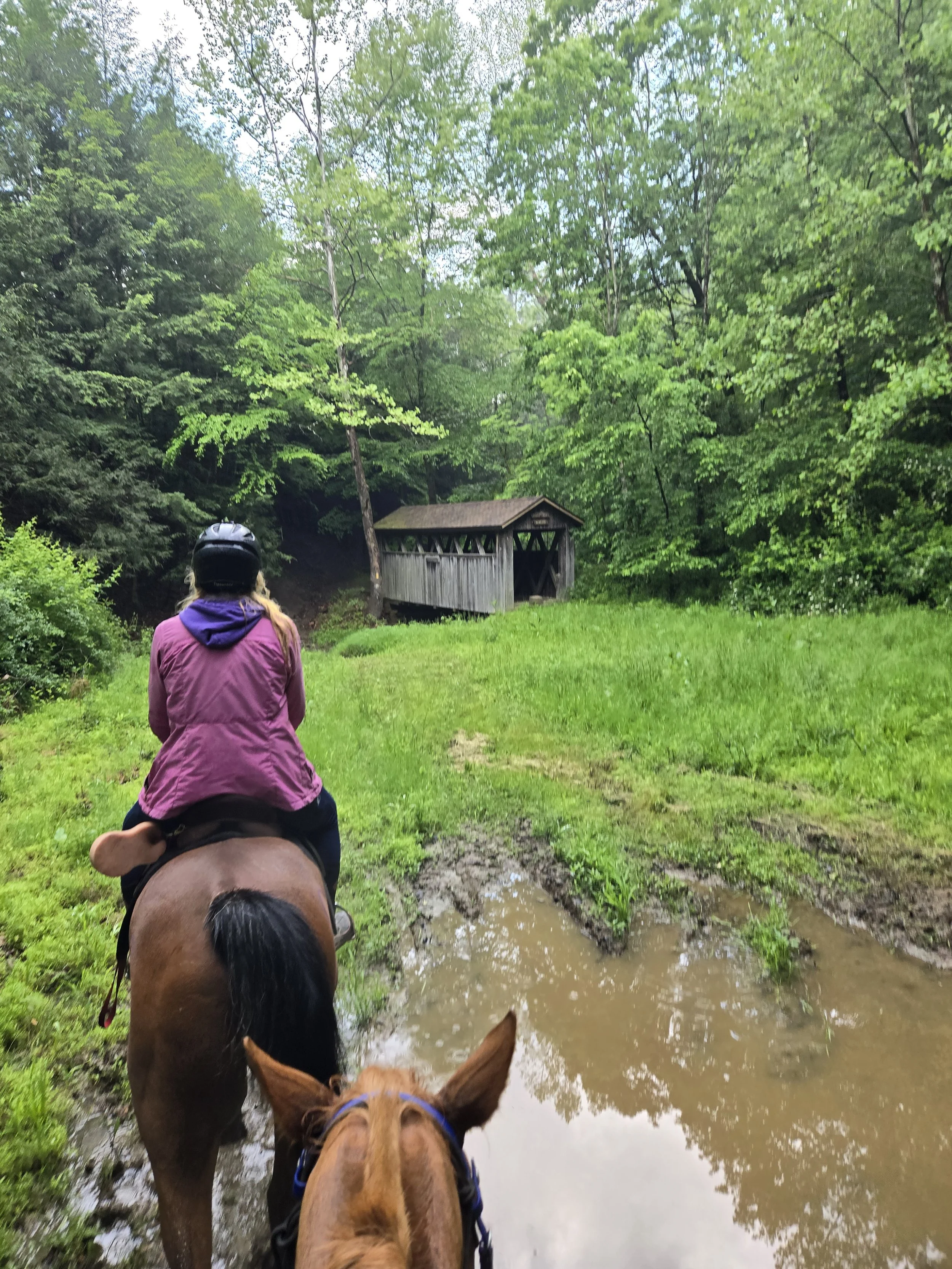 20250531_081715 (1).jpg