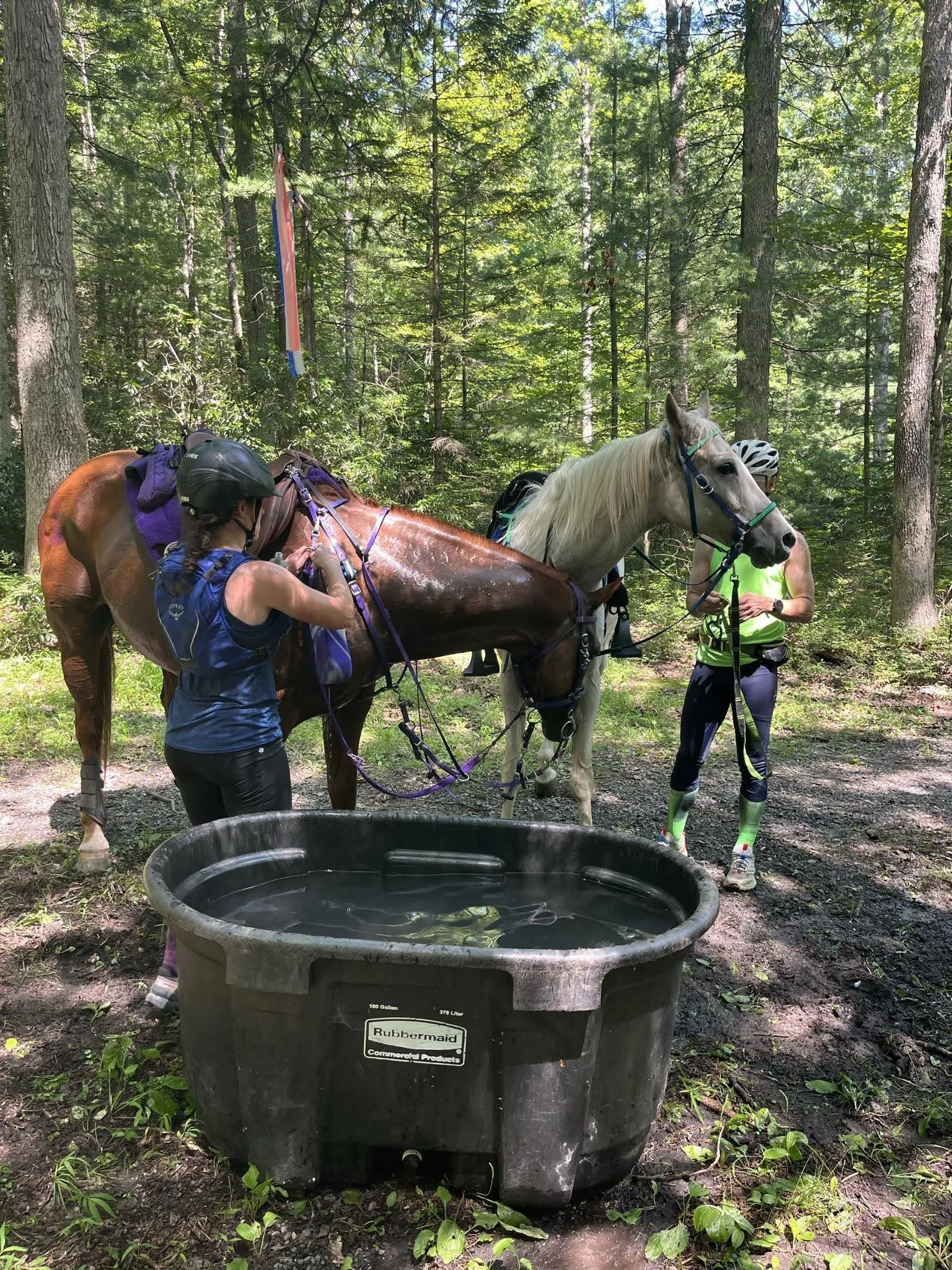 9e4e3606-cd4f-4b4a-b5e7-da7568f8074b (1).jpeg