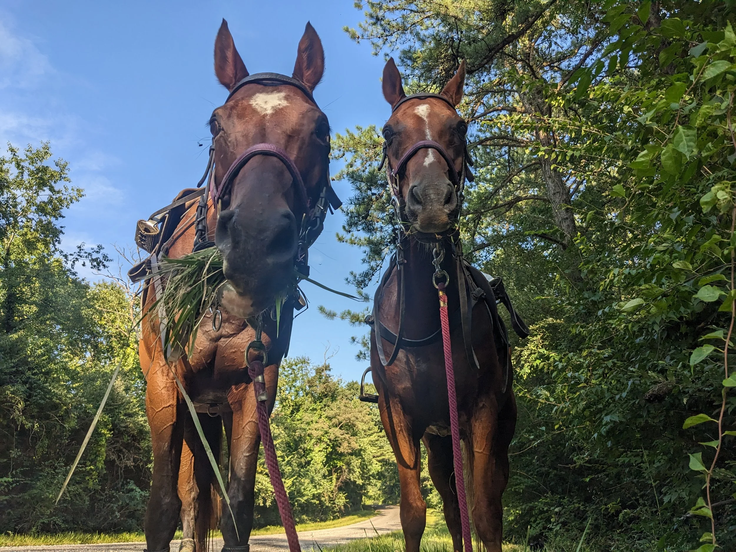 PXL_20230820_220904045 (1).jpg