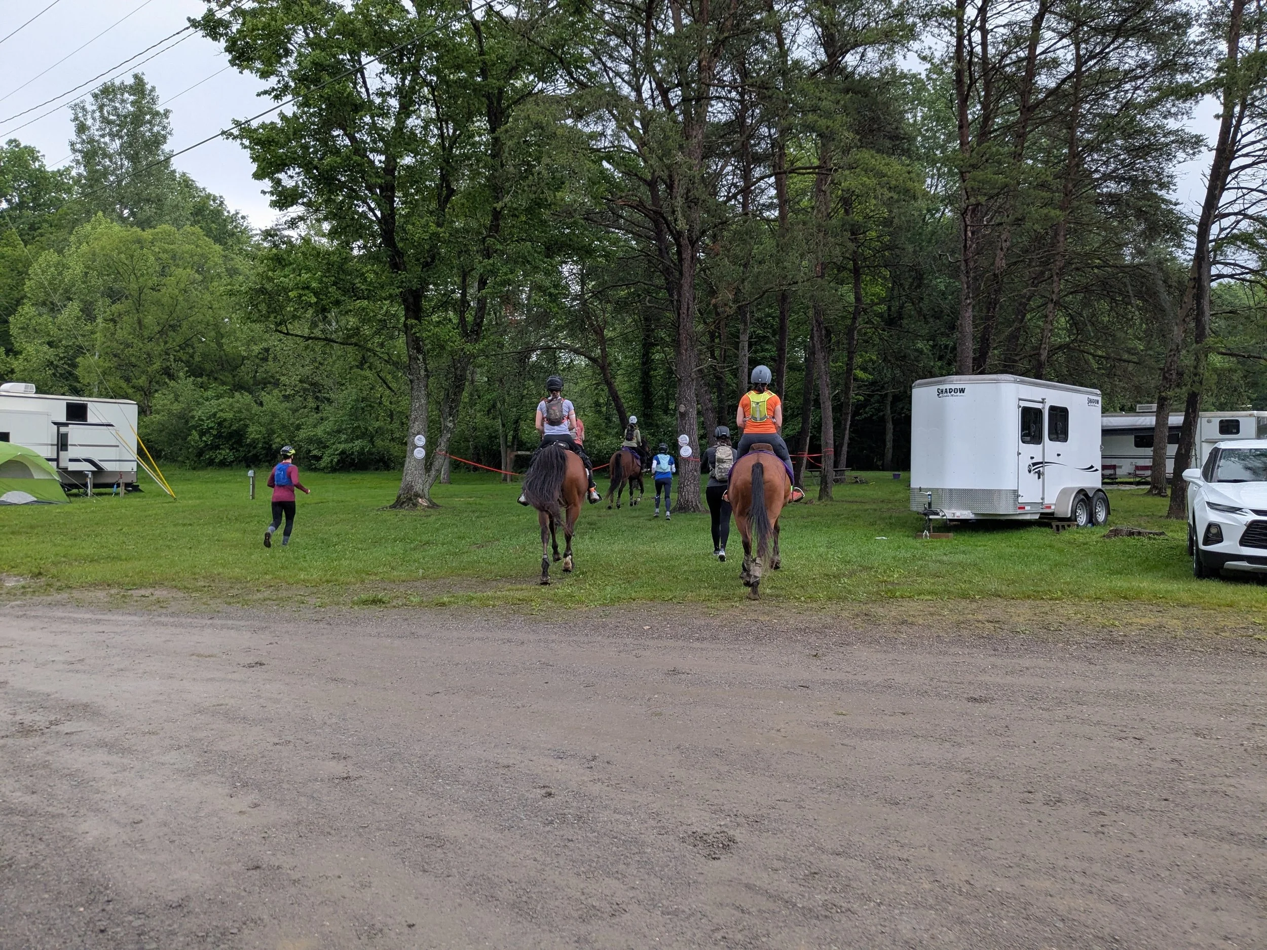 PXL_20250531_120108678 (1).jpg