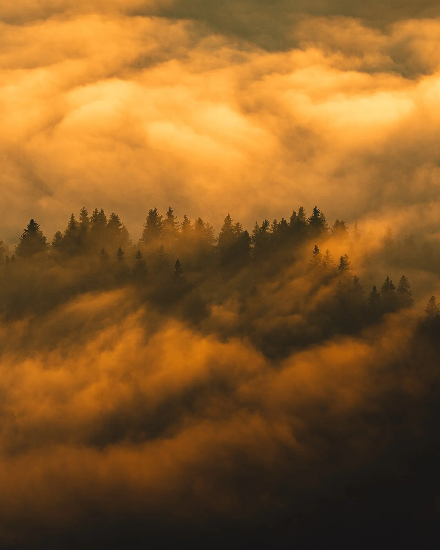Best season 🍁
Winning combo: autumn colors and a sea of clouds 

.
.
.
.
#mountainslover #sunset #goldenhourglow #hikingadventure #switzerland #ineedswitzerland #beautifuldestinations #autum #autumncolors🍁 #folkscenary #moodygrams #roamtheworld #fo