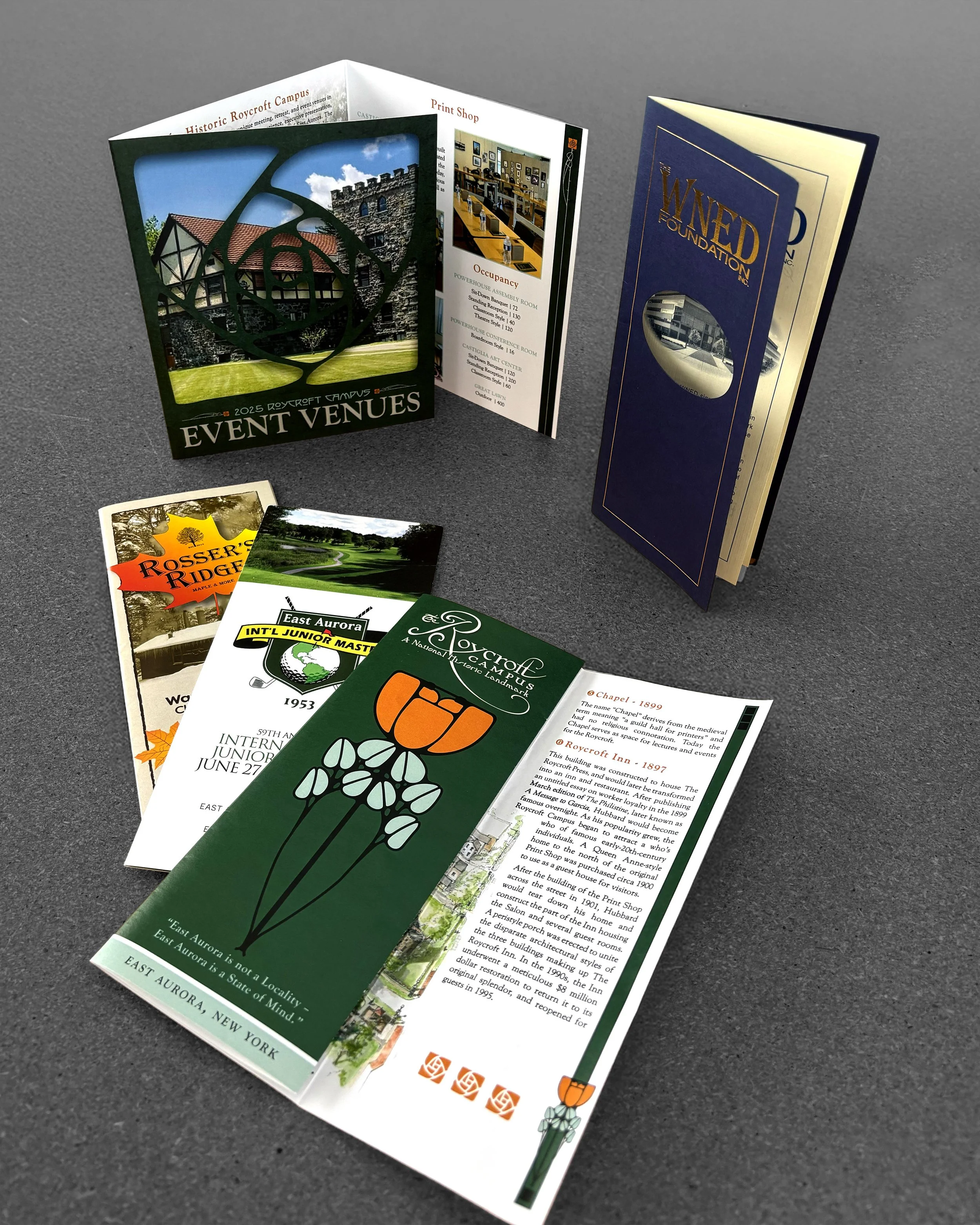 Various custom designed and folded brochures in differing sizes and stock options. Including a diecut brochure for WNED, a local news station.