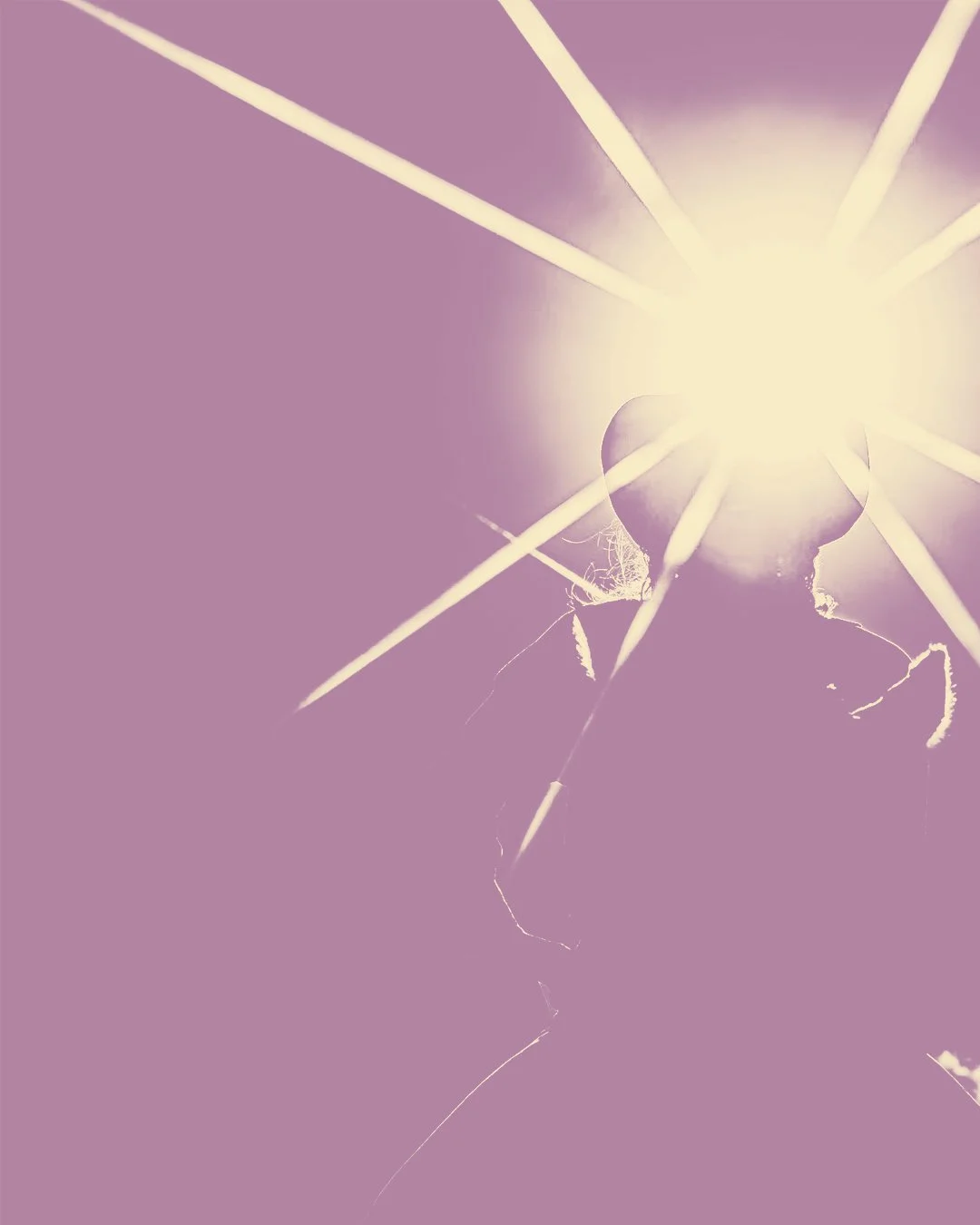 Untitled-1 (56).jpeg