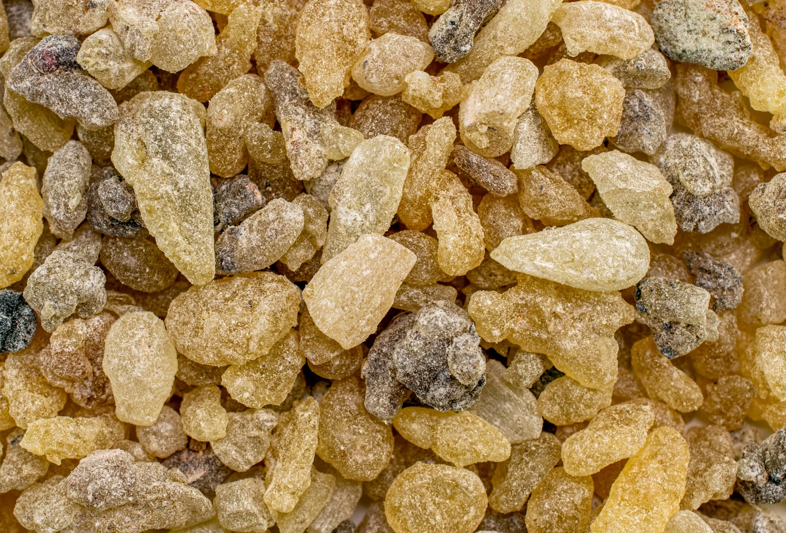 whispers of breath: traditional ways with frankincense essential oil