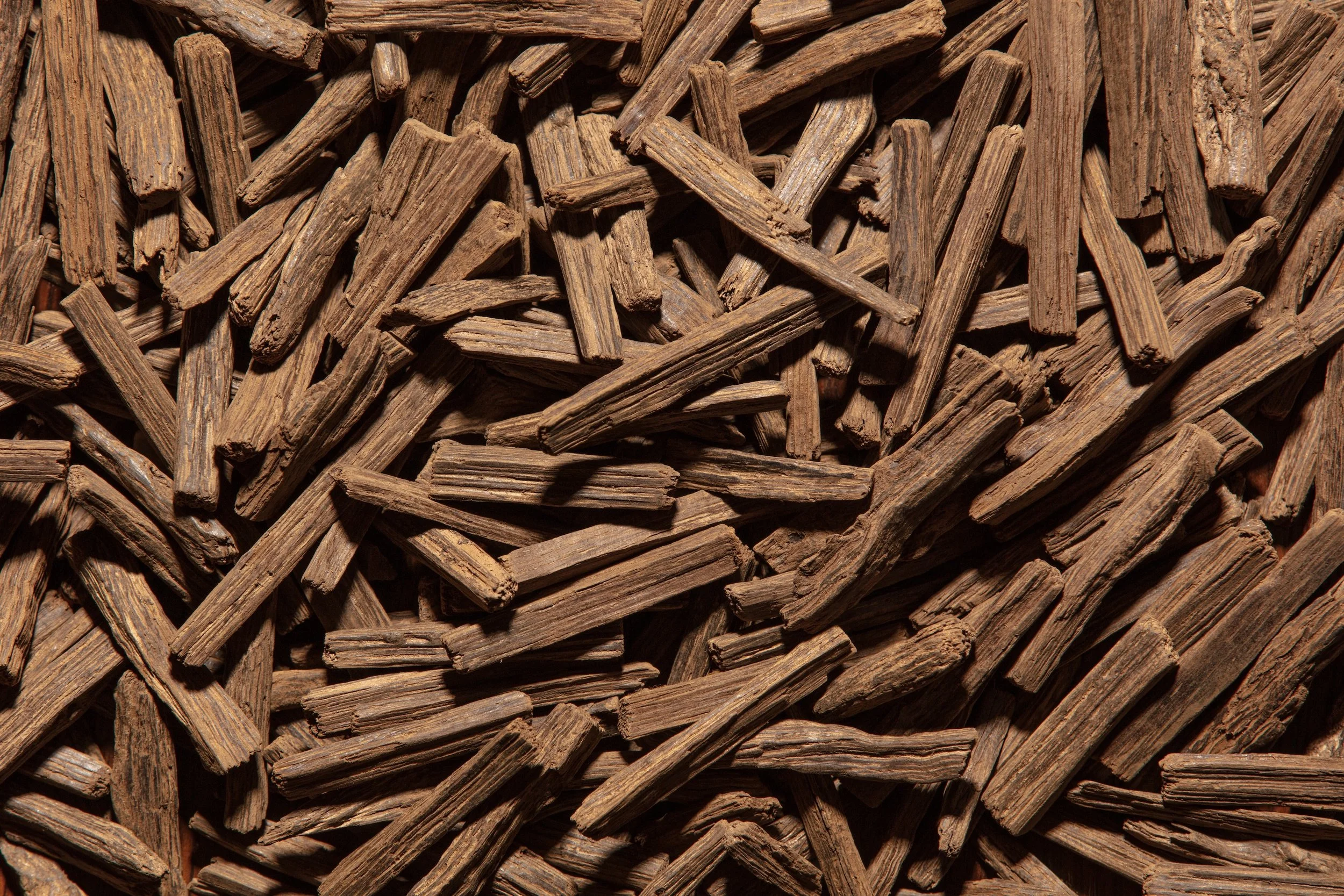 A close-up photograph of a pile of small, dry, wooden sticks or wood chips.