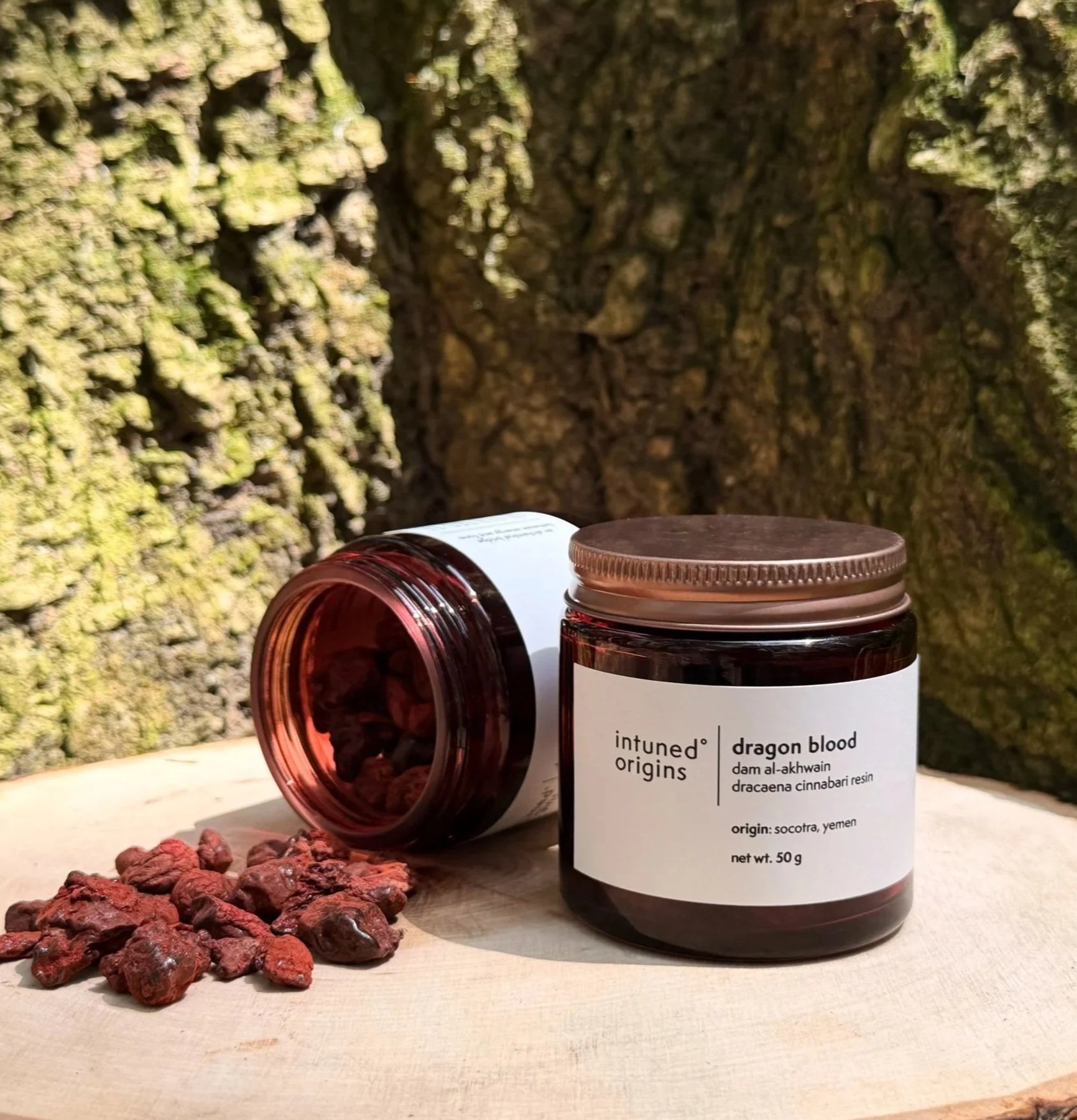 A dark amber jar of intuned origins dragon blood resin, with an open lid, placed on a light surface. Behind the jar, there is a small, upright paper label with product details, and a small pile of red, irregularly shaped resin pieces in the foreground. The background shows a textured tree bark surface.