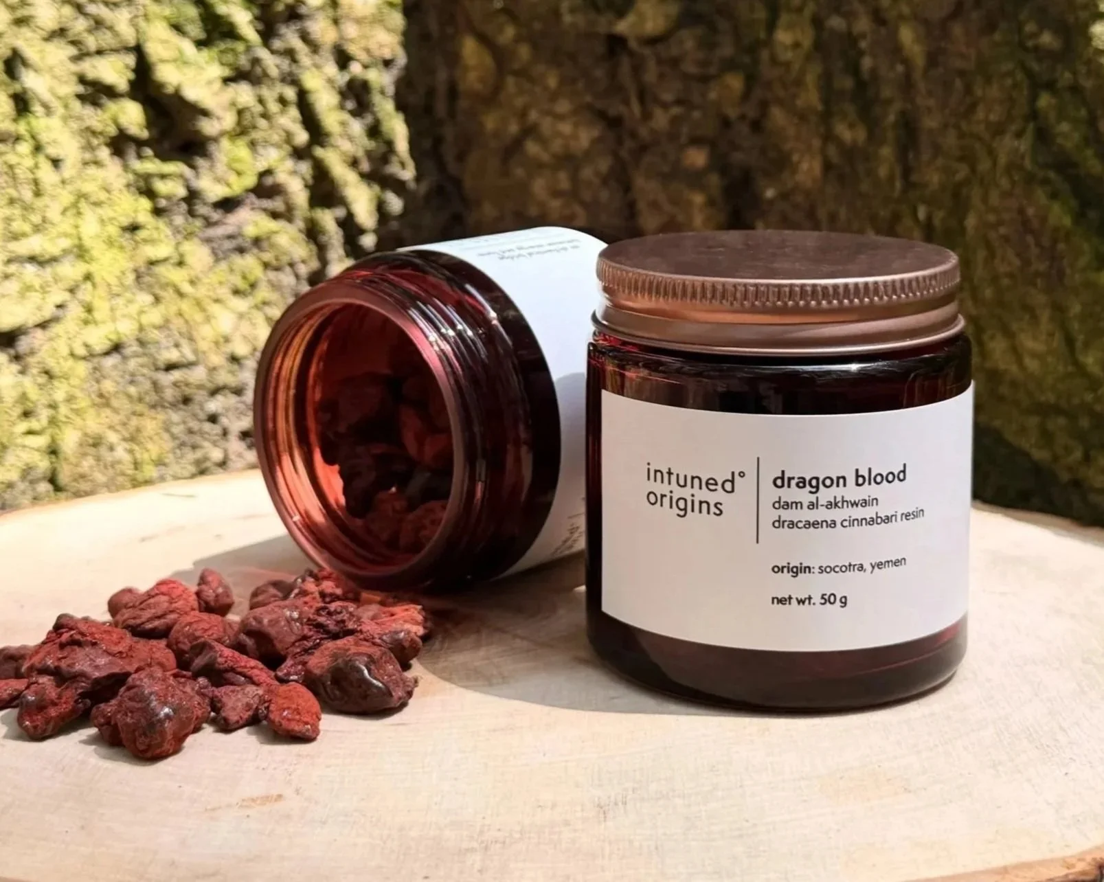 A jar of 'Dragon Blood' resin from Socotra, Yemen, with some dried resin pieces in front, placed on a wooden surface with a mossy tree bark background.