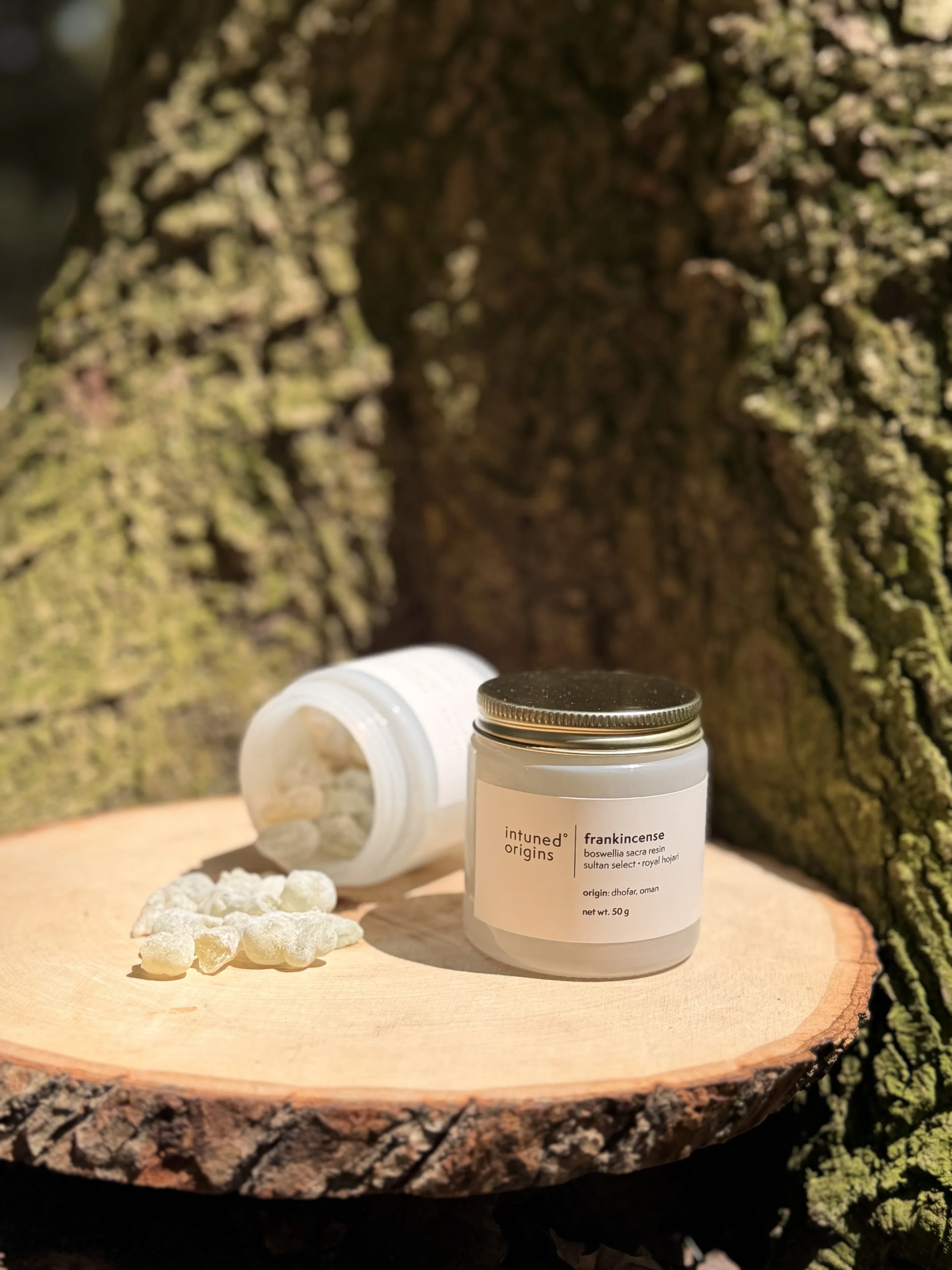 Close-up of a white container labeled 'Frankincense' placed on a wooden surface, with small white resin pieces scattered nearby. The background features a large, textured tree trunk with green moss.