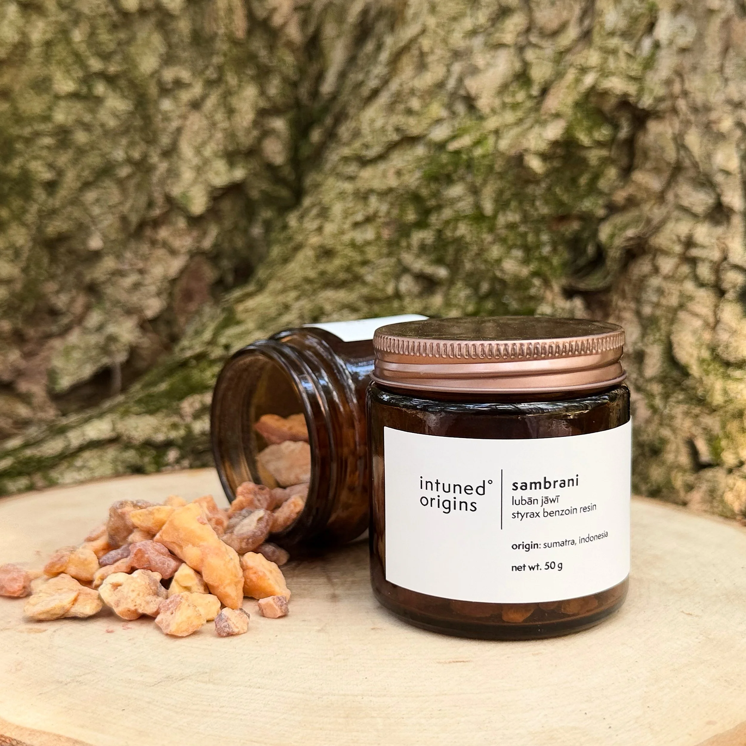 Close-up of a jar of resin labeled 'Samtani'. The jar is dark brown with a light metal lid. There are small orange rock fragments scattered in front of the jar. The background features a rough, textured tree bark surface.