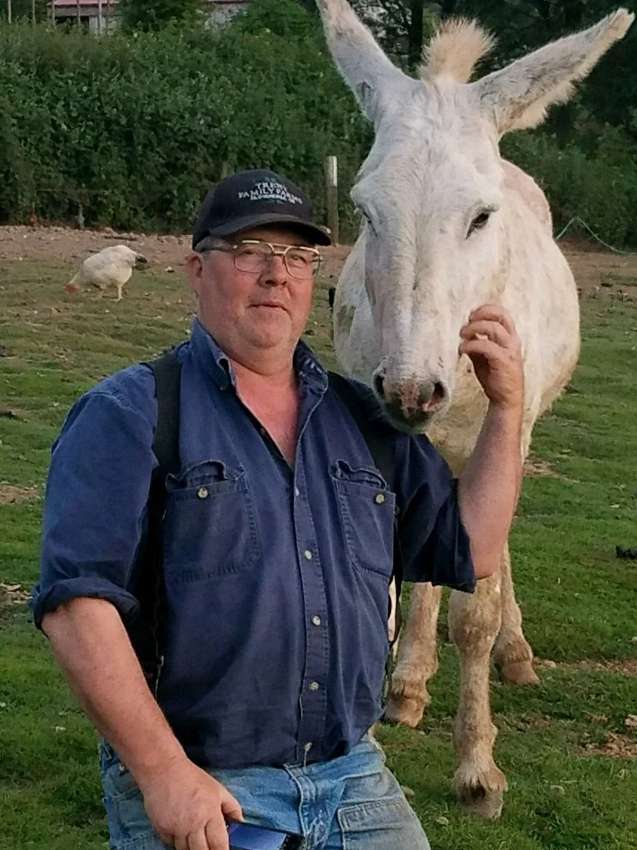 A man with glasses and a baseball cap standing outdoors next to a white donkey, with a seagull in the background.