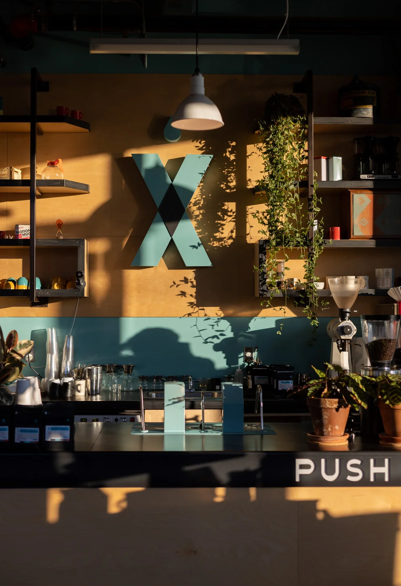 Interior of a modern coffee shop with sunlight casting shadows, shelves with various items, plants, and a large 'X' on the wall.
