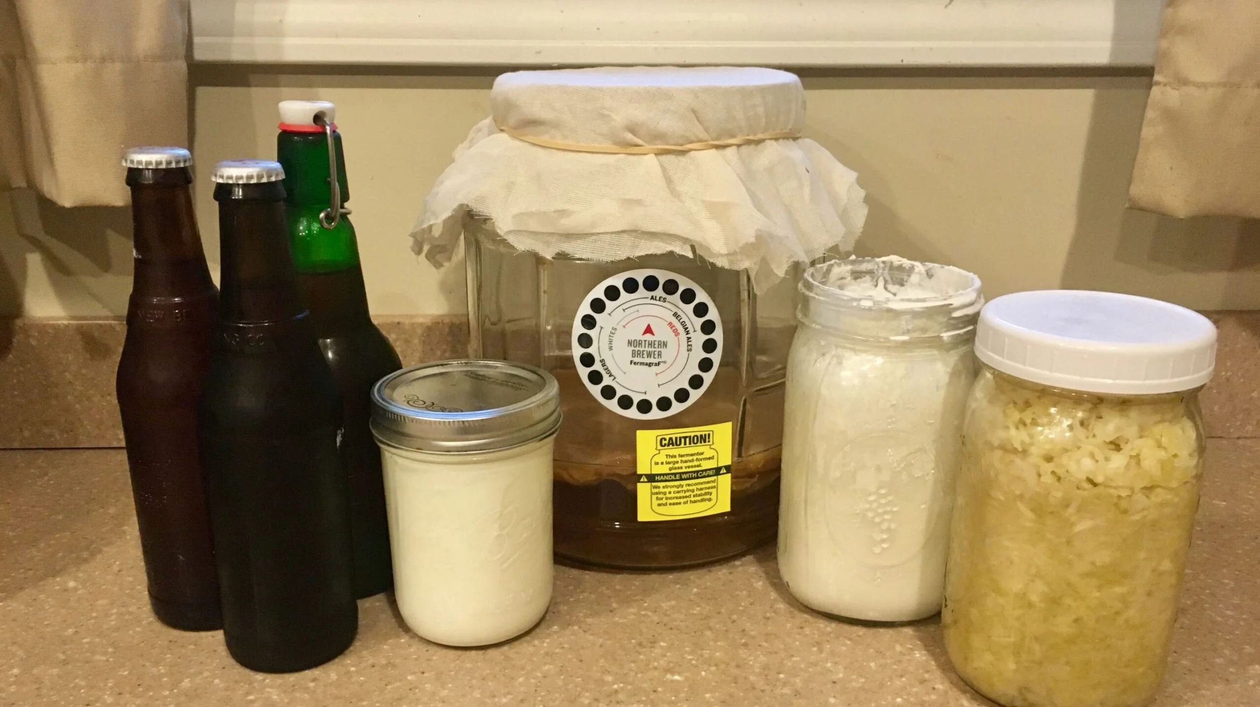 Six Live-Culture Fermentation Projects