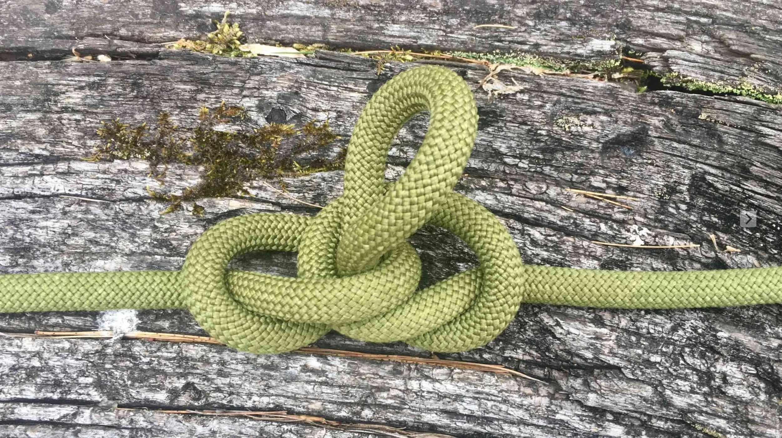 Know A Knot! The Alpine Butterfly