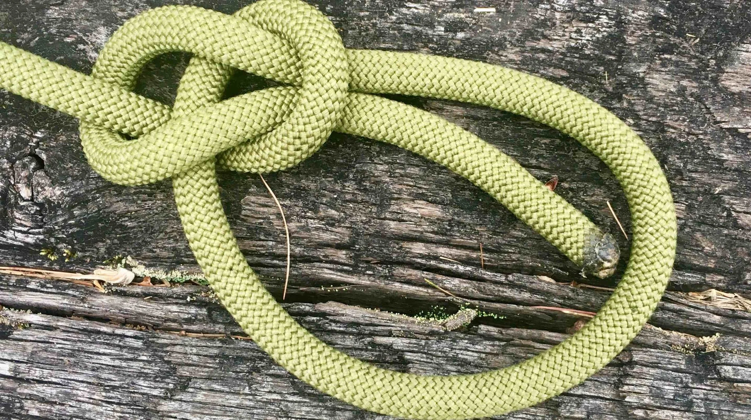 Know a Knot! The Bowline