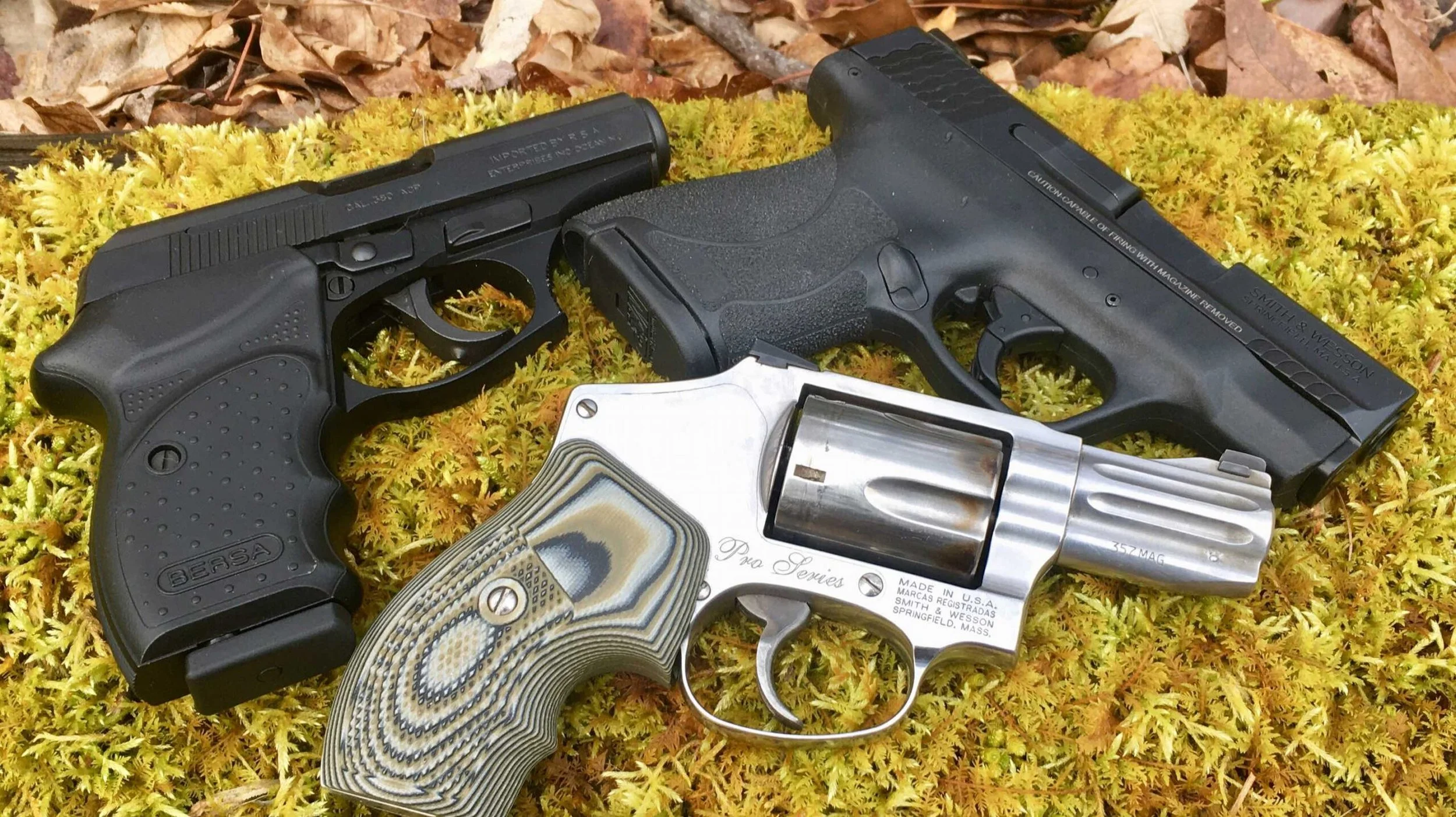 Should Everyone Own a Gun?