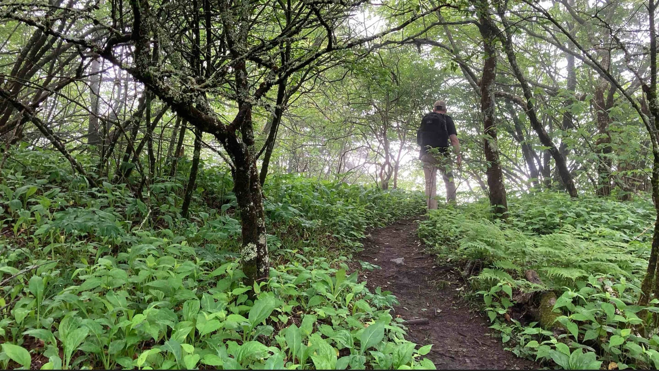 Preparedness Part II: Prepare Your Mind