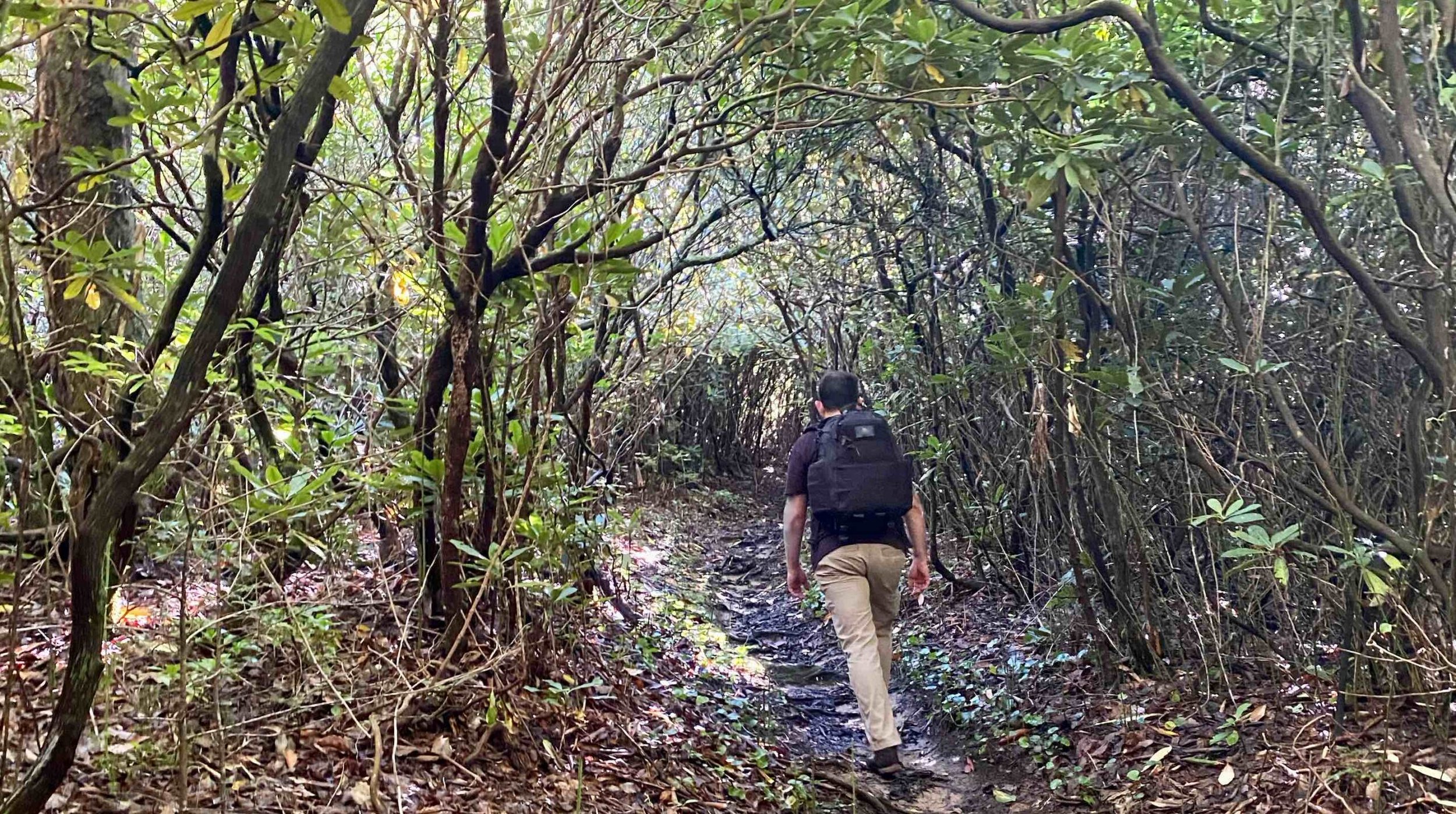 Hiking Emergency & Recovery Protocols