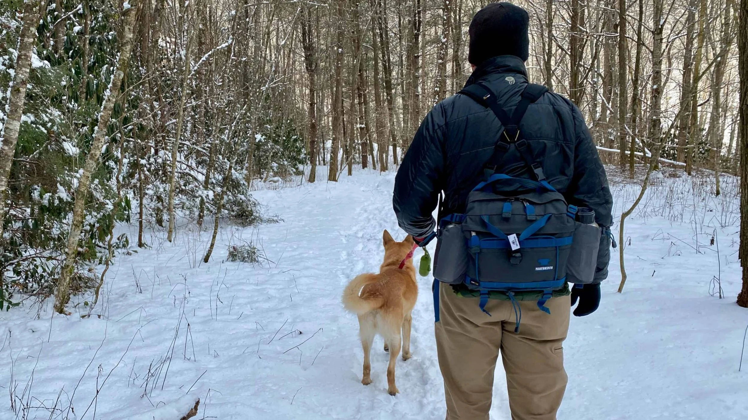 Lumbar Pack: Mountainsmith Tour