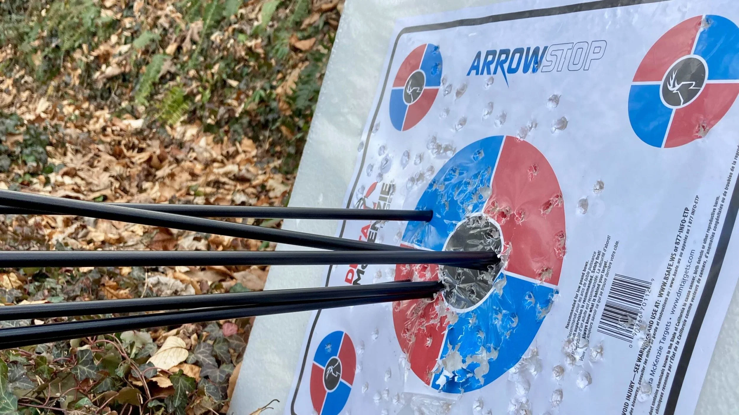 2021 Goal Progress: January