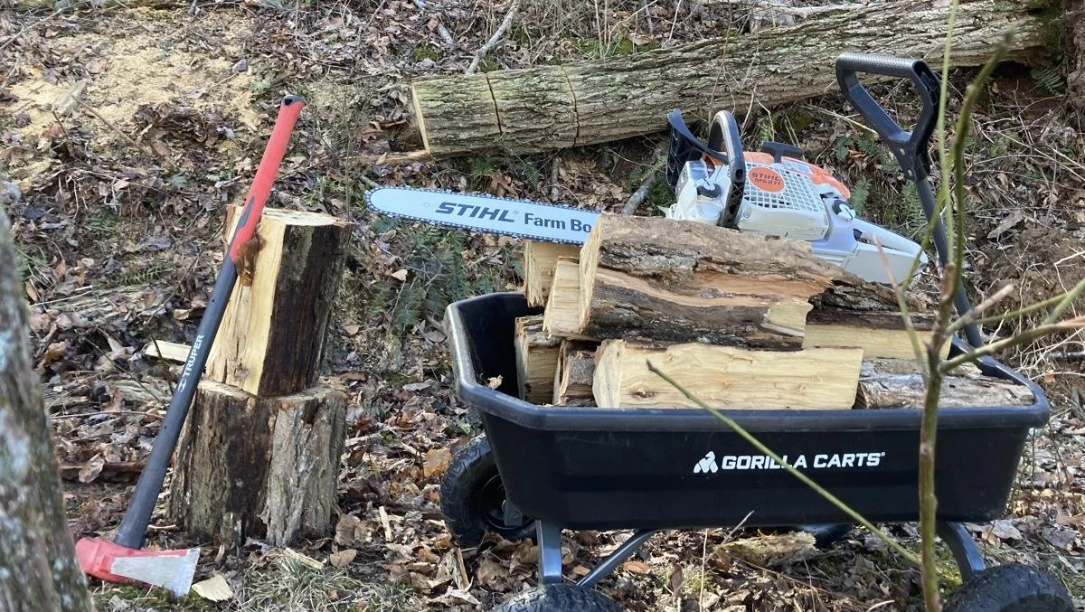 2021 Goal Progress: February