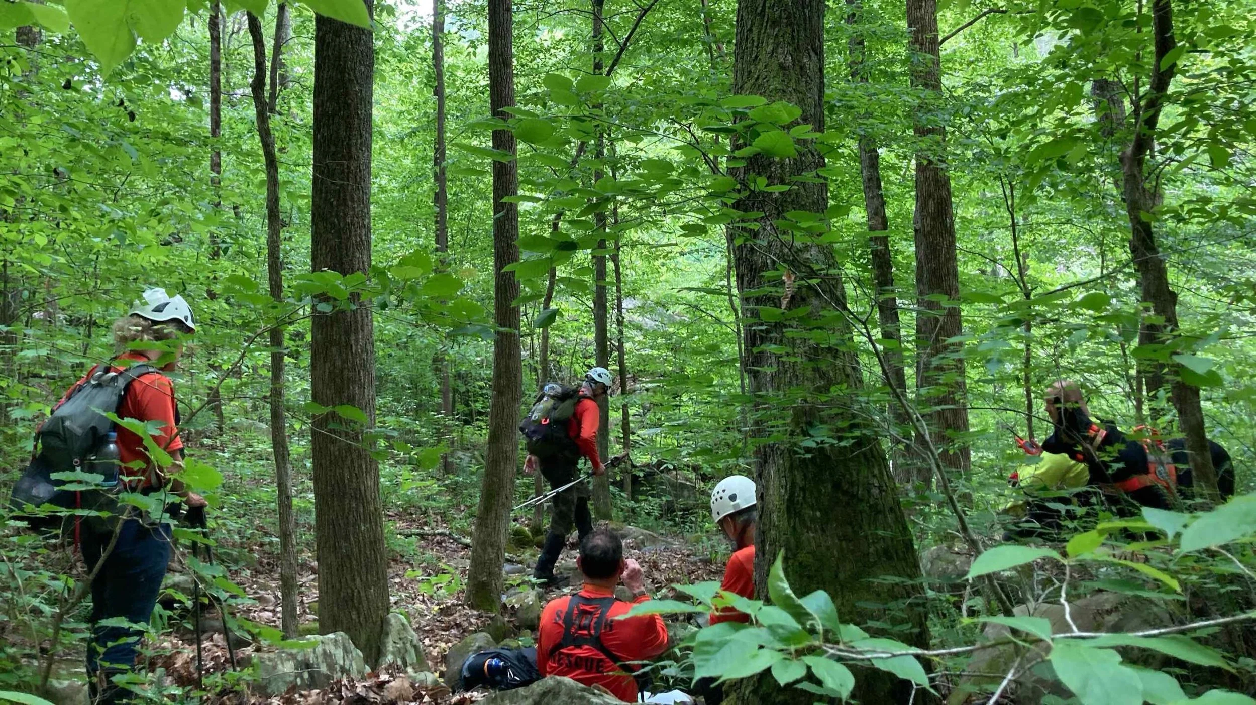 2021 Goal Progress: May