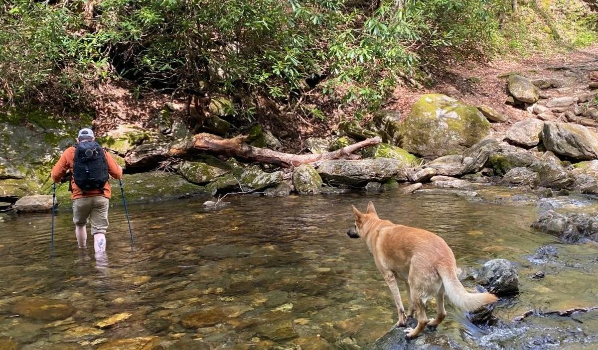 Hiking with Trekking Poles