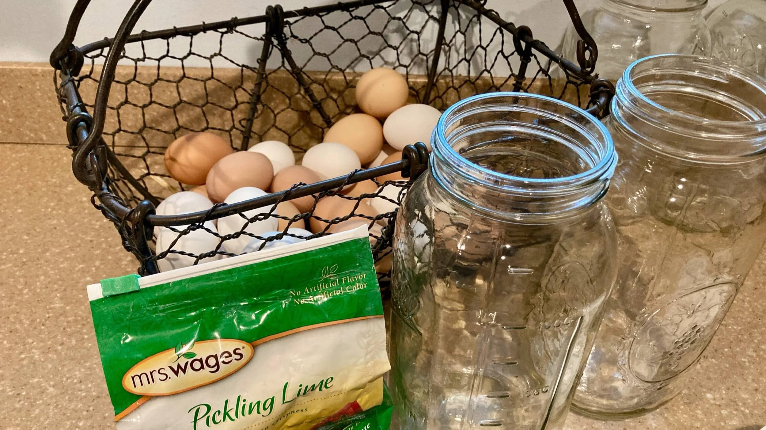 Long-Term Storage of Eggs